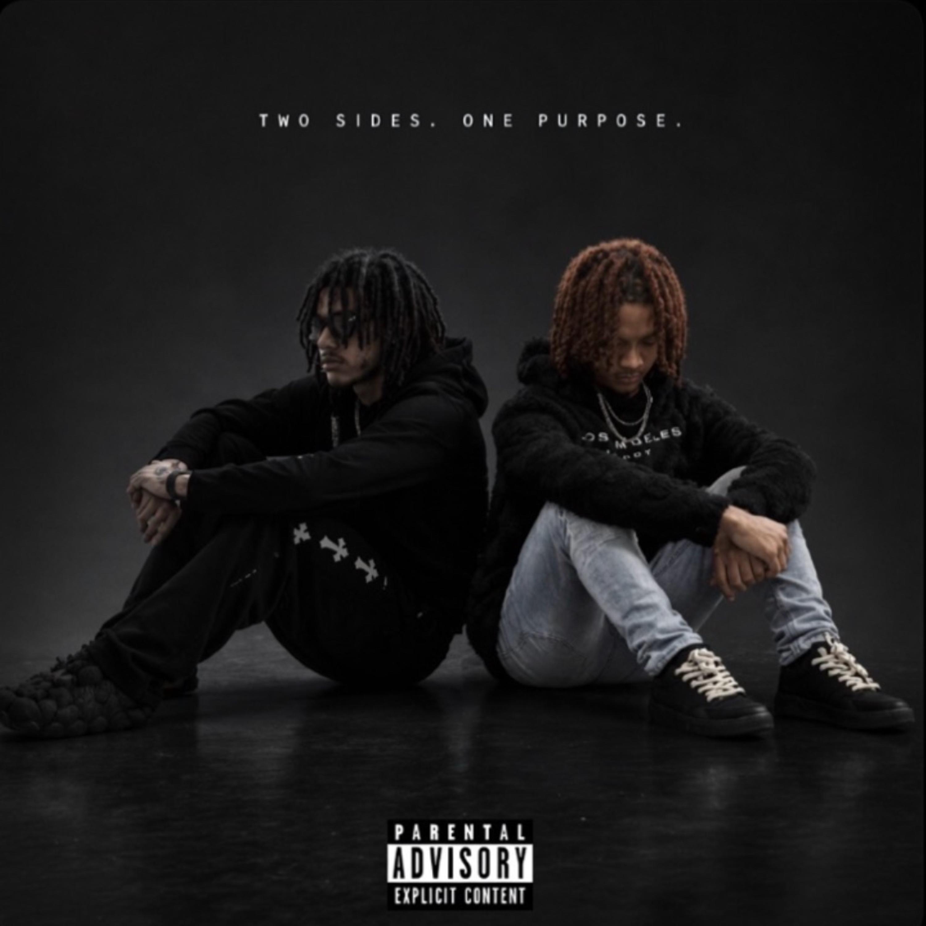 Two Sides. One Purpose. by Wildkardjalo cover art