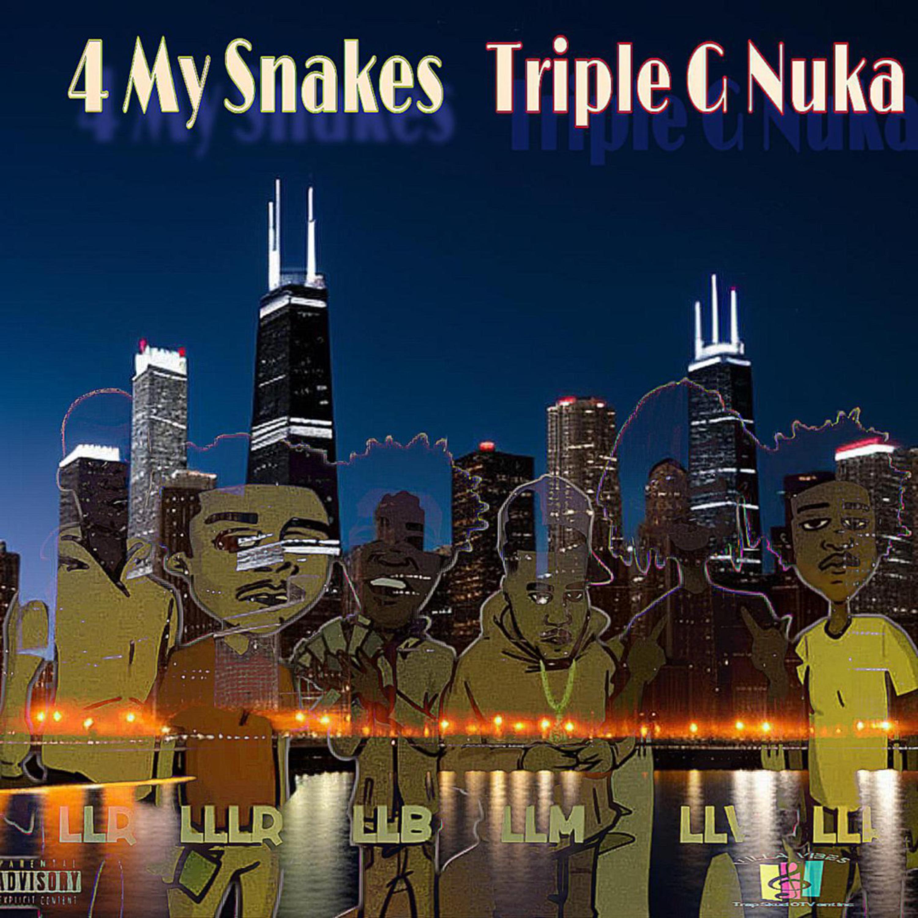 4 My Snakes artwork