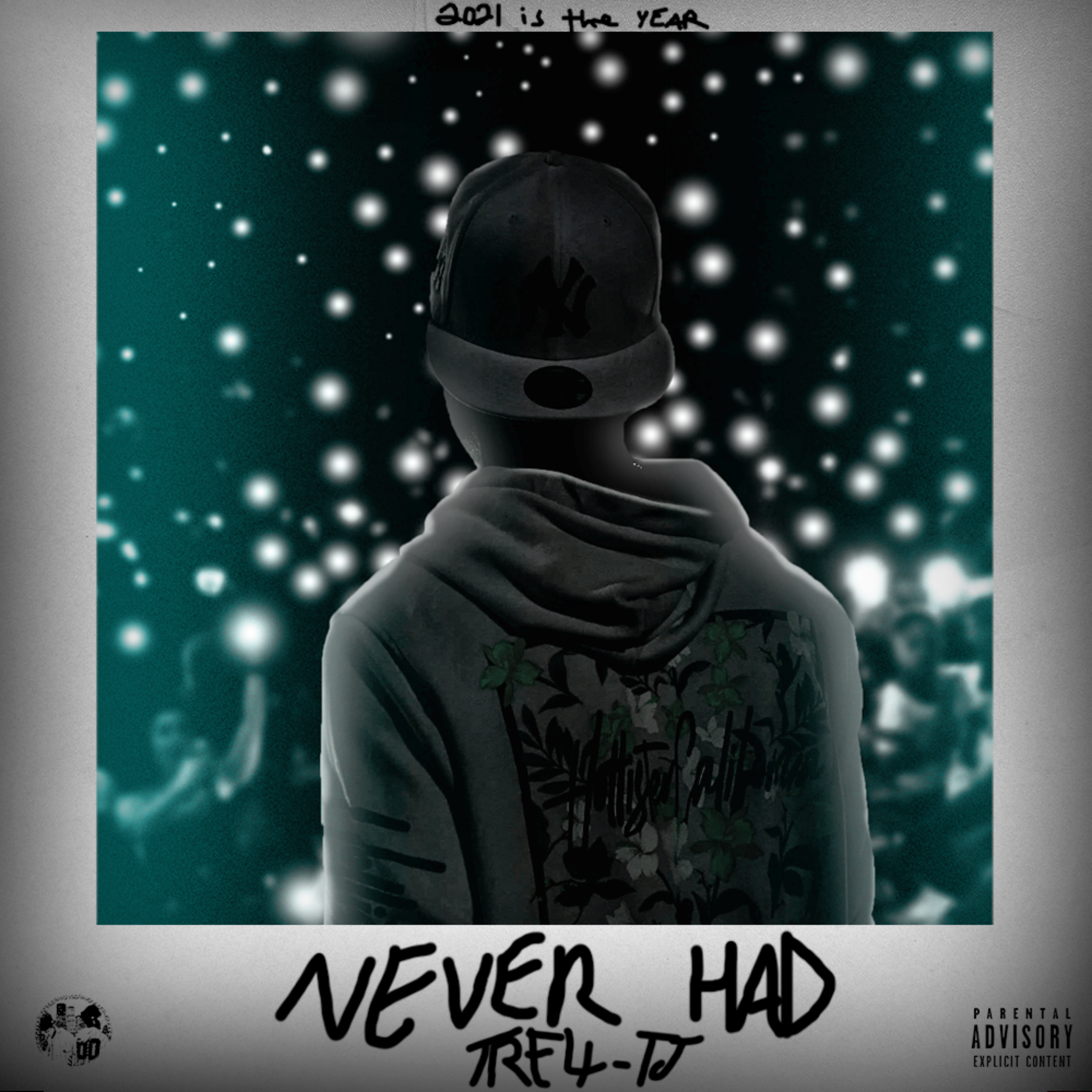 Never Had artwork