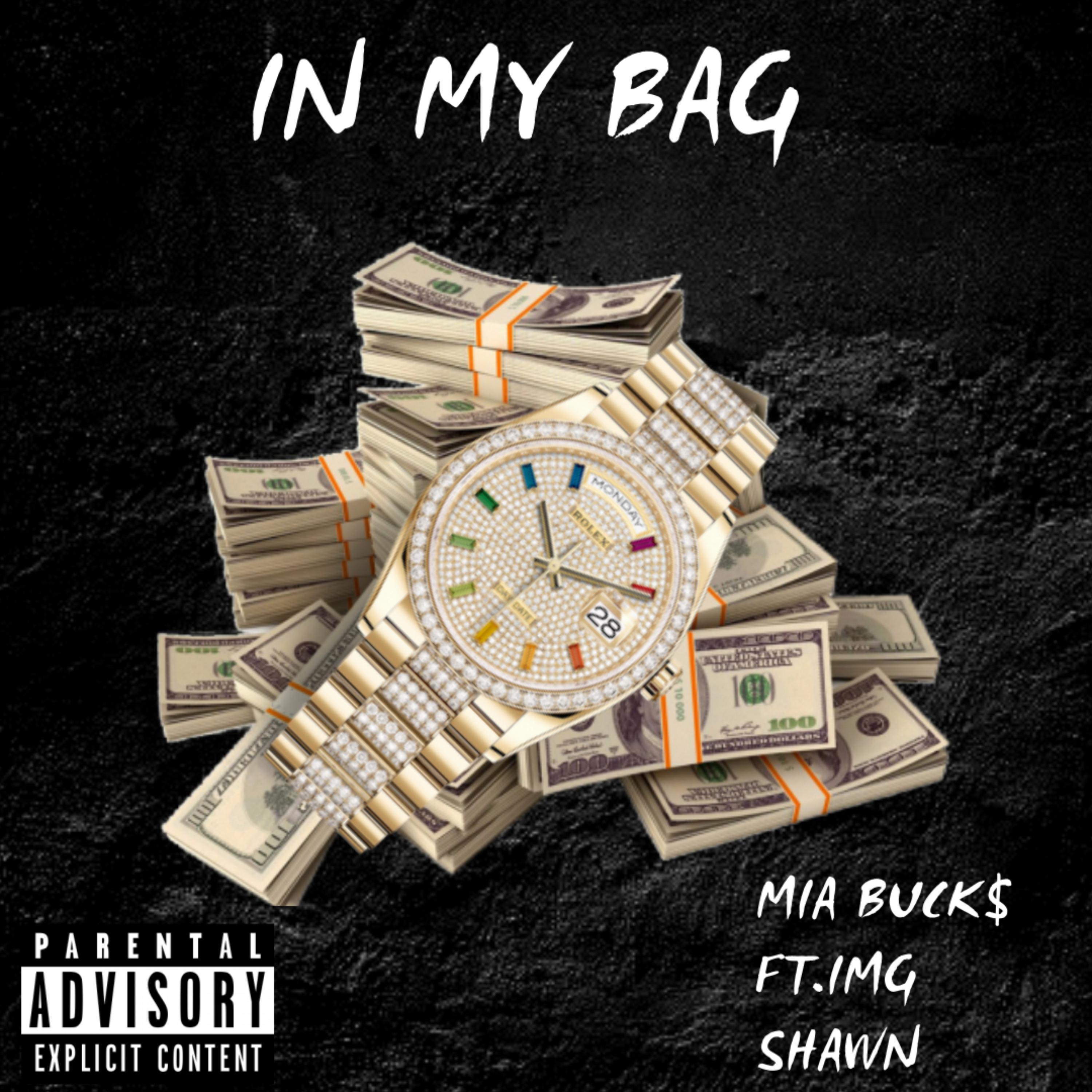 IN MY BAG  artwork