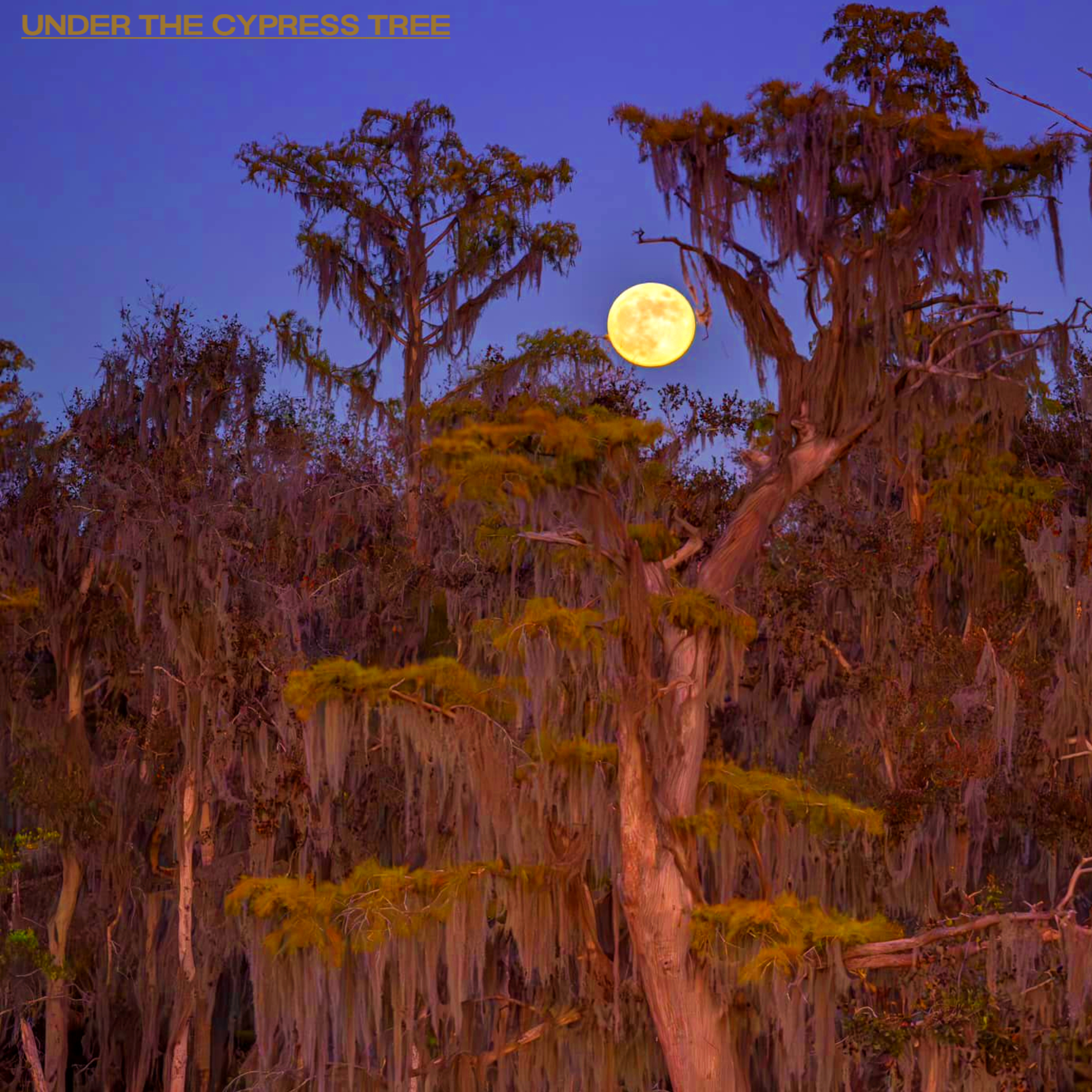Under the Cypress Tree artwork