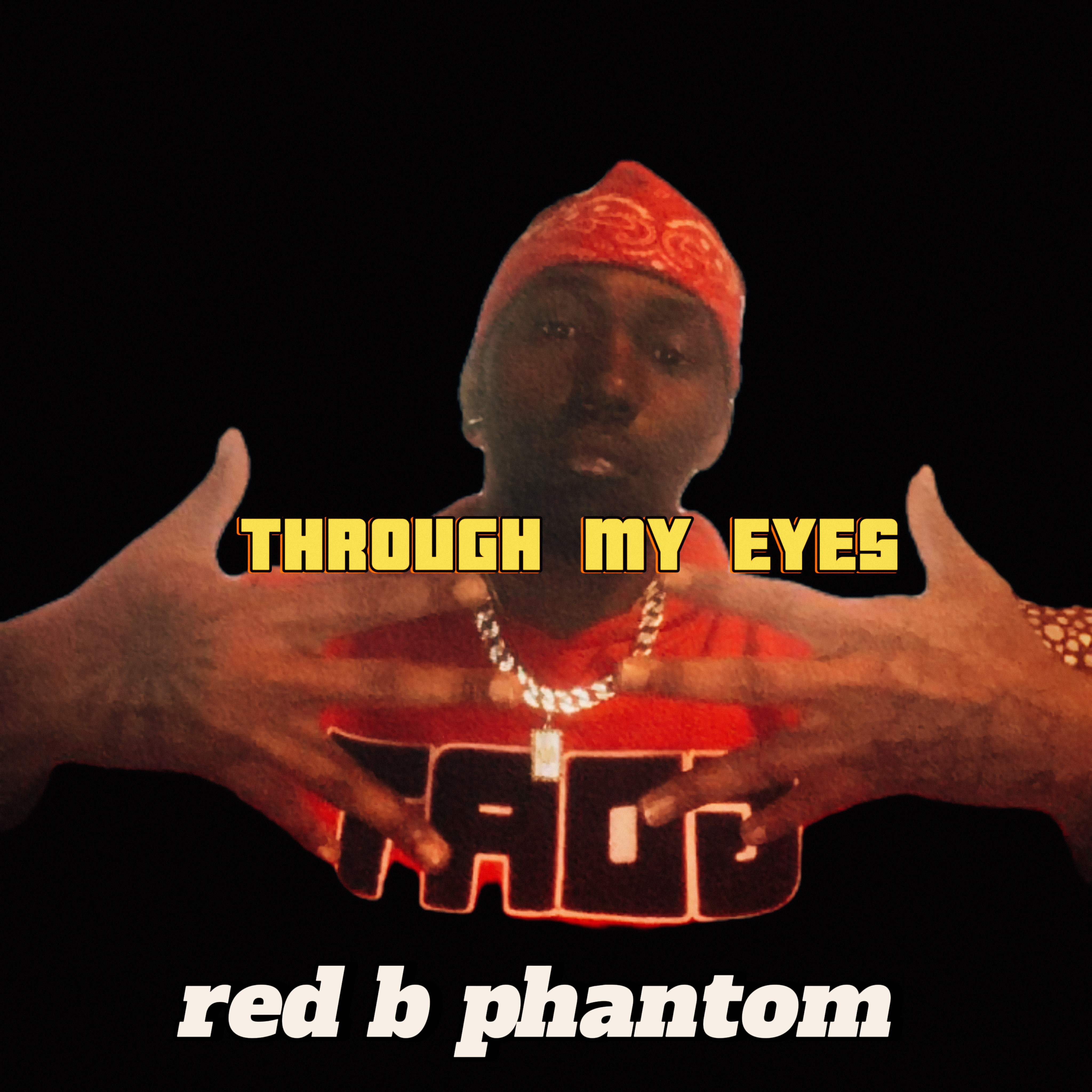 THROUGH MY EYES artwork