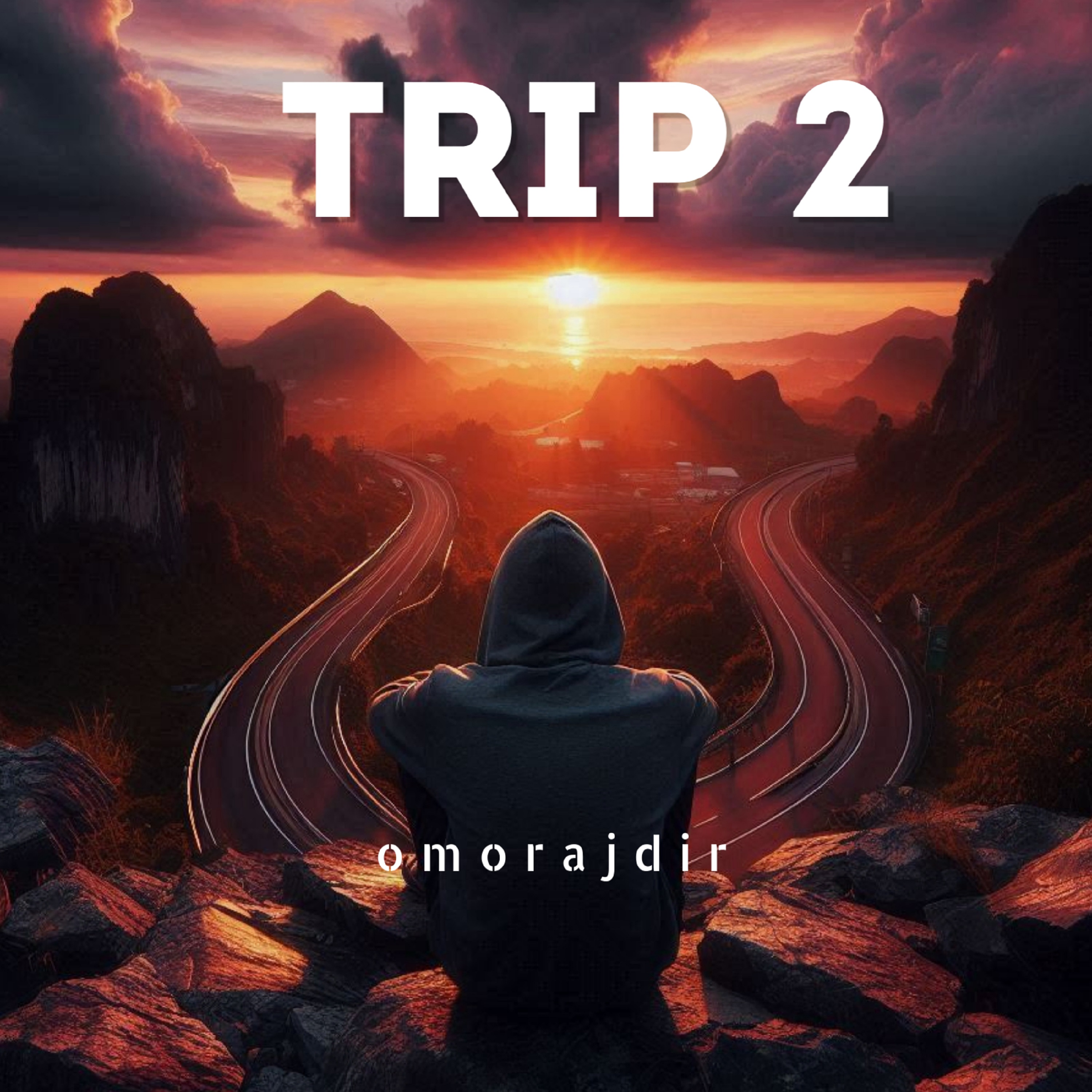 Trip 2 by Omoraj Dir cover art