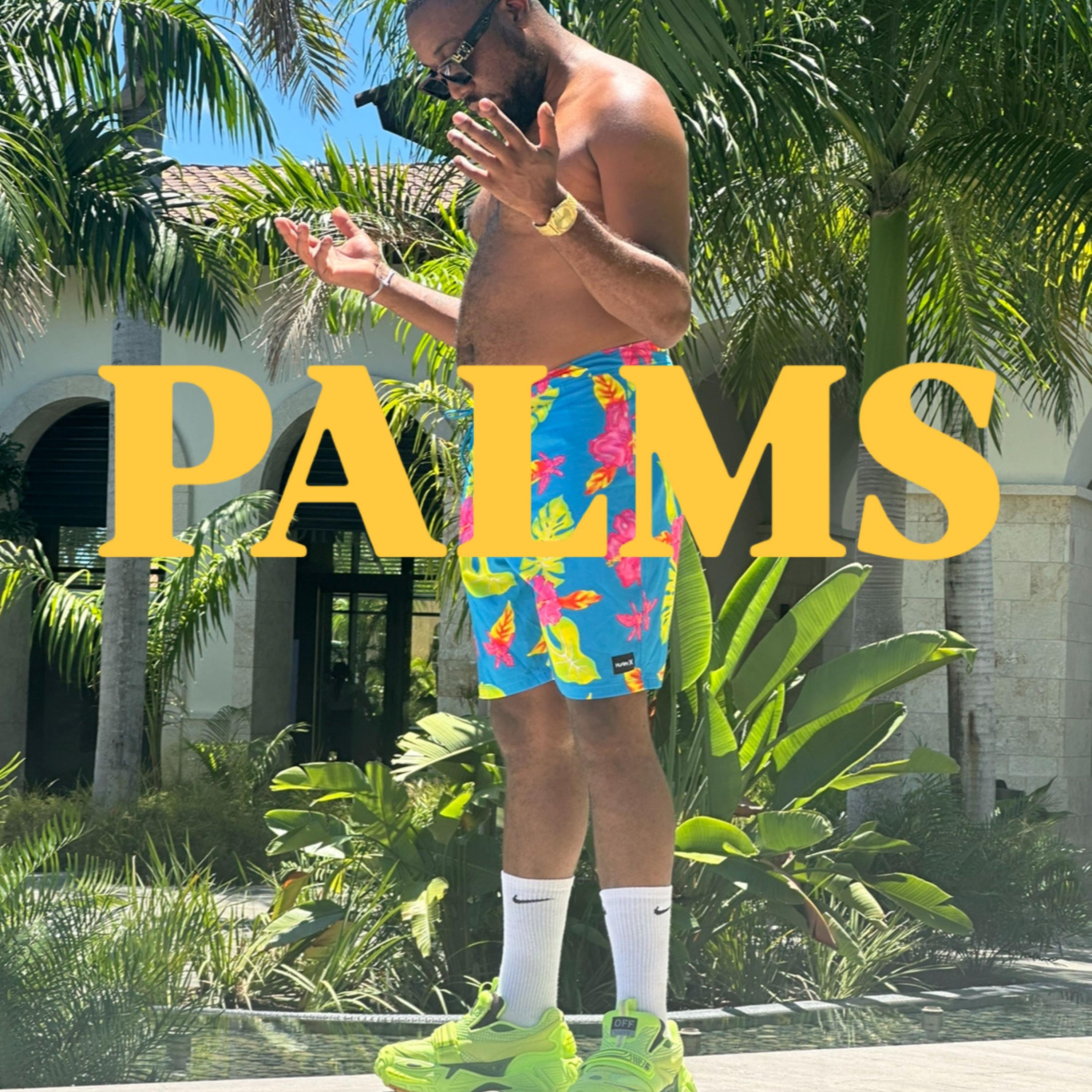 PALMS artwork
