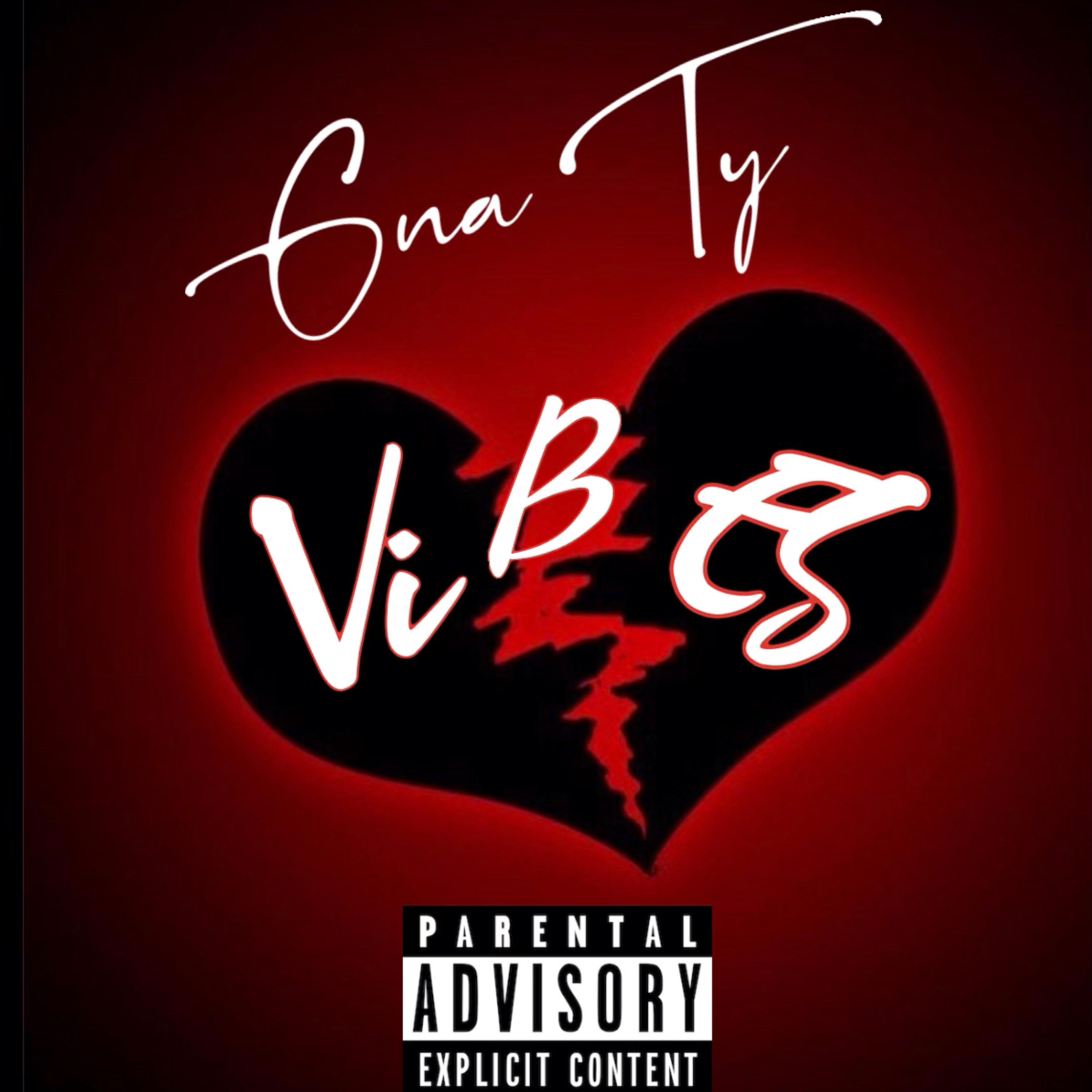 Vibes by Ty cover art