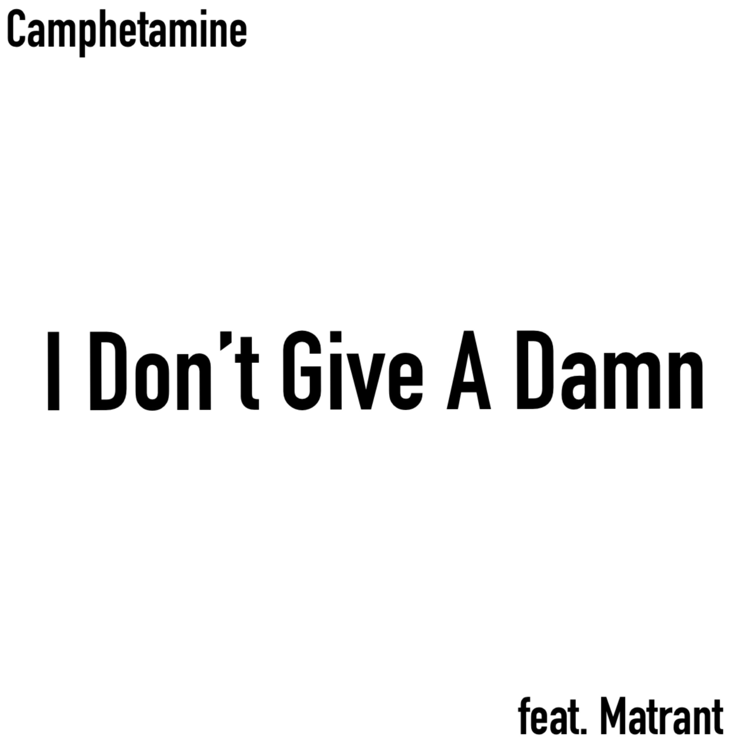 I Don’t Give A Damn artwork