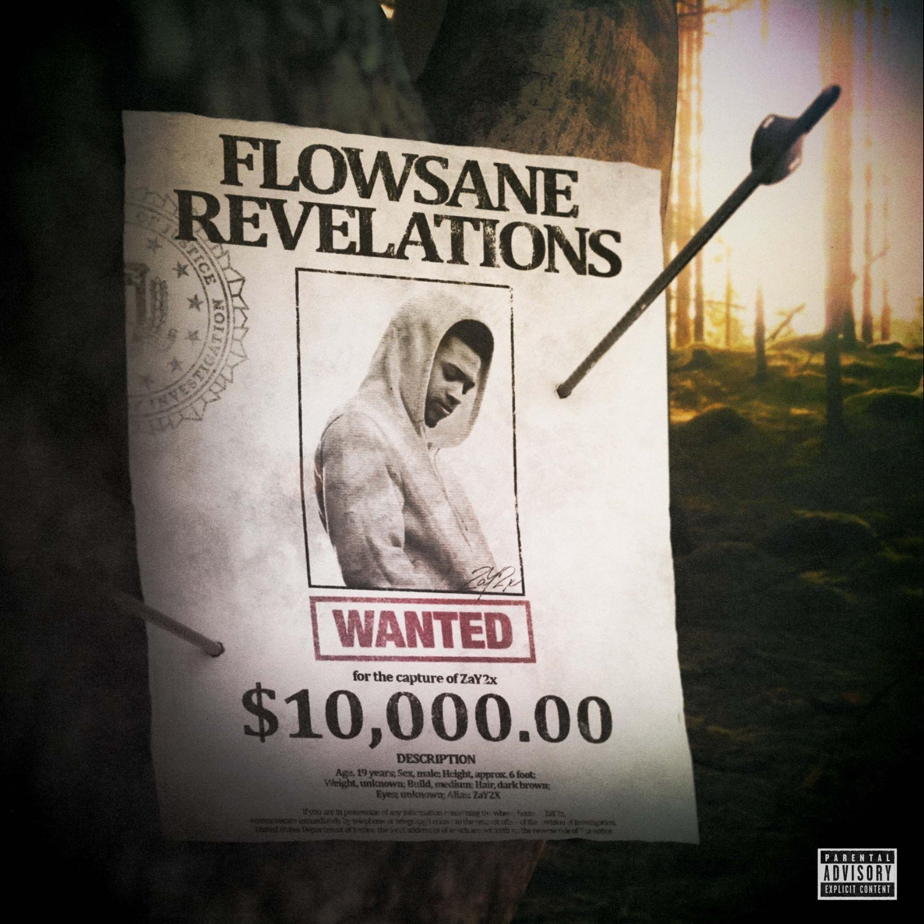 FlowsaneRevelations artwork