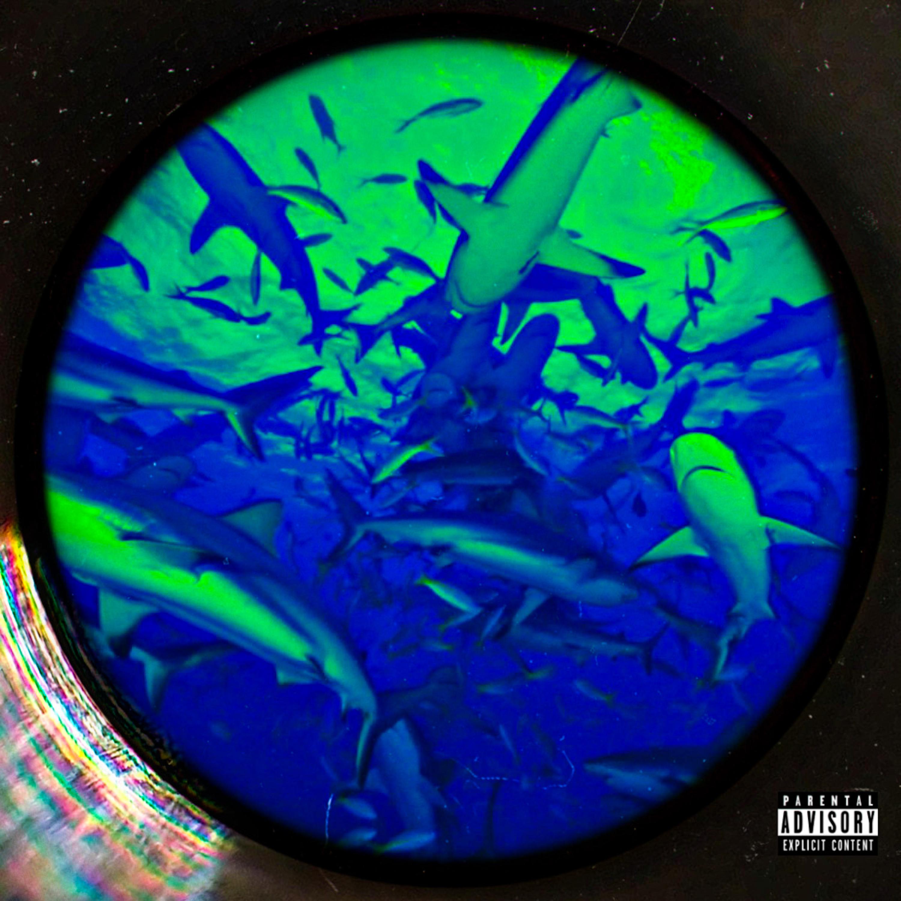 Shark Tank artwork