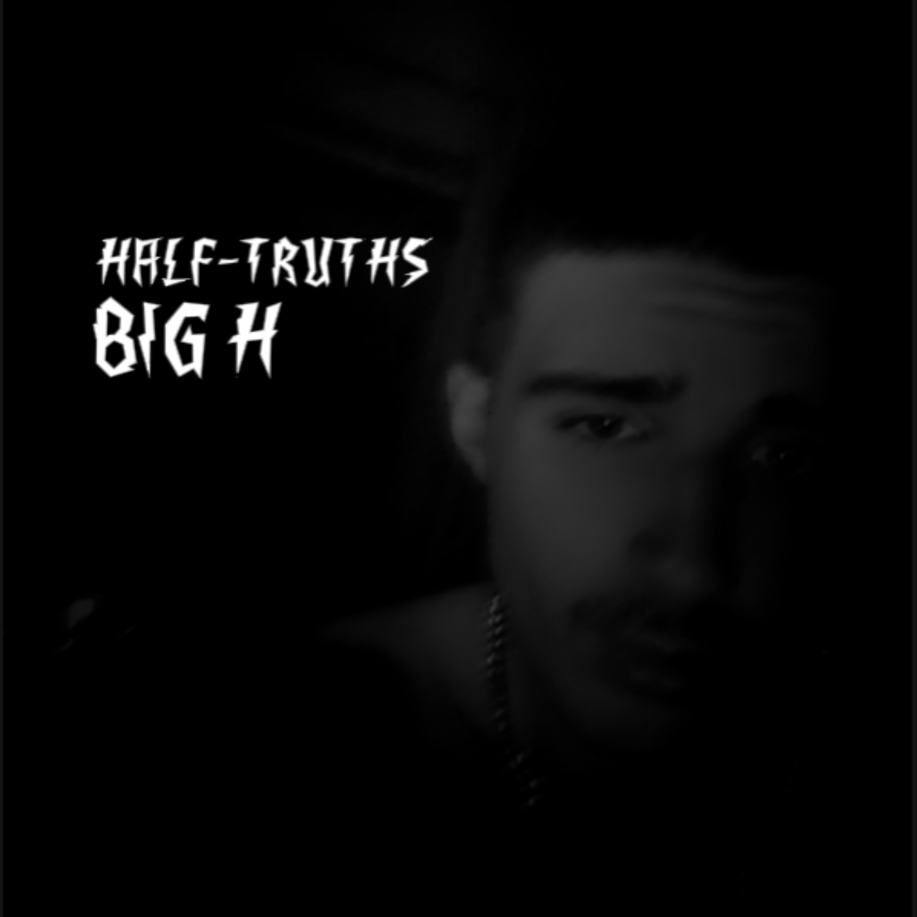 Half truths artwork