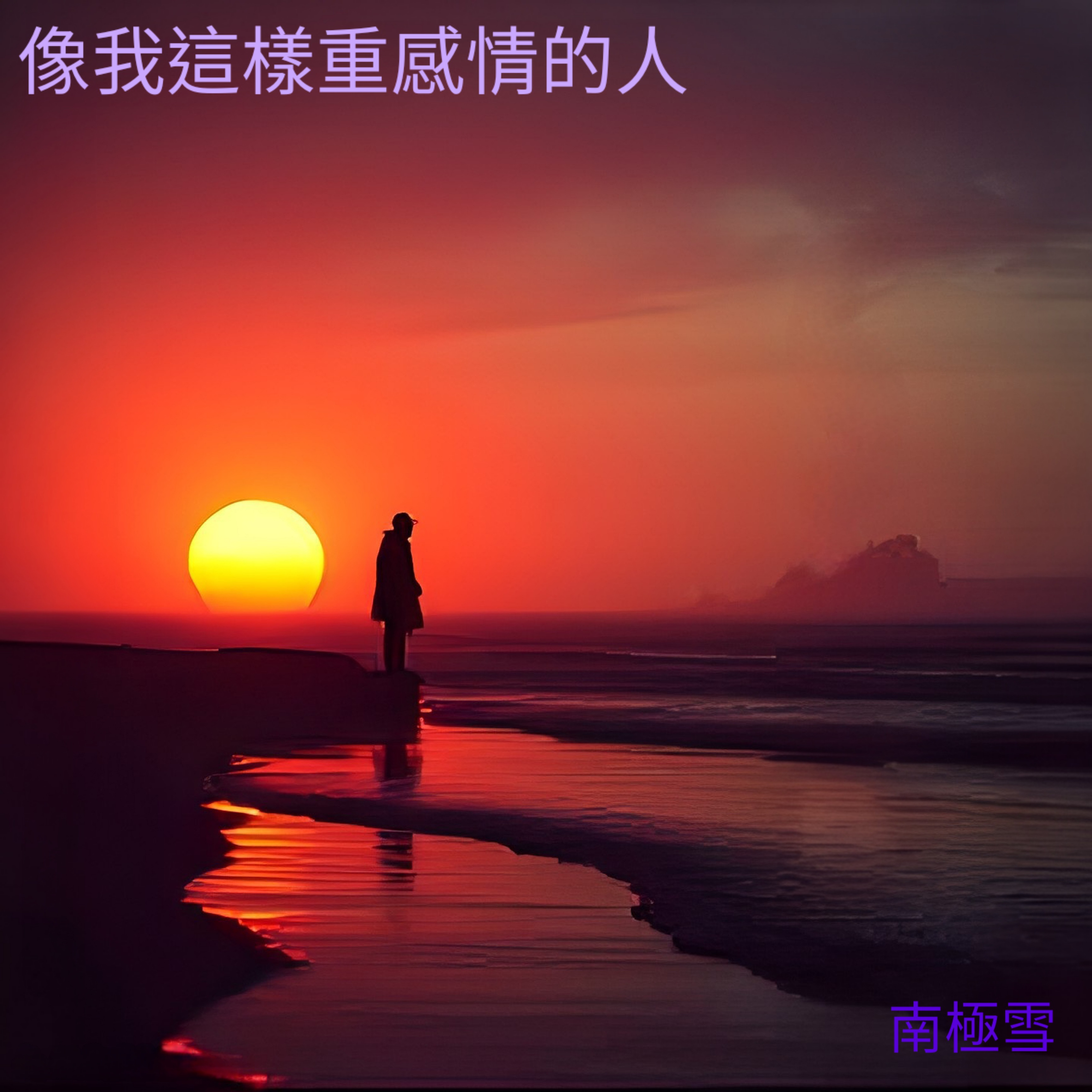 像我這樣重感情的人 by 南極雪 cover art