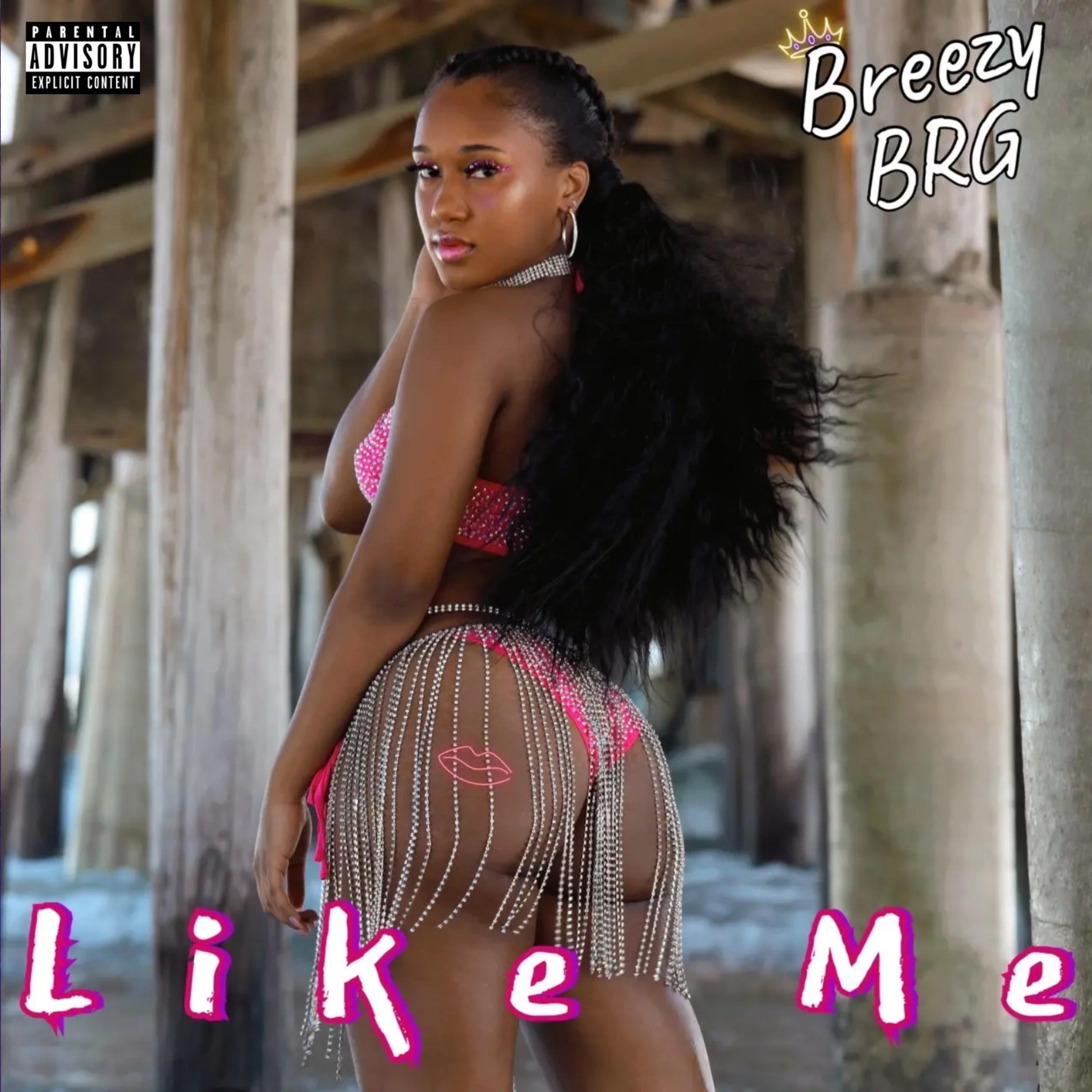 Like Me artwork