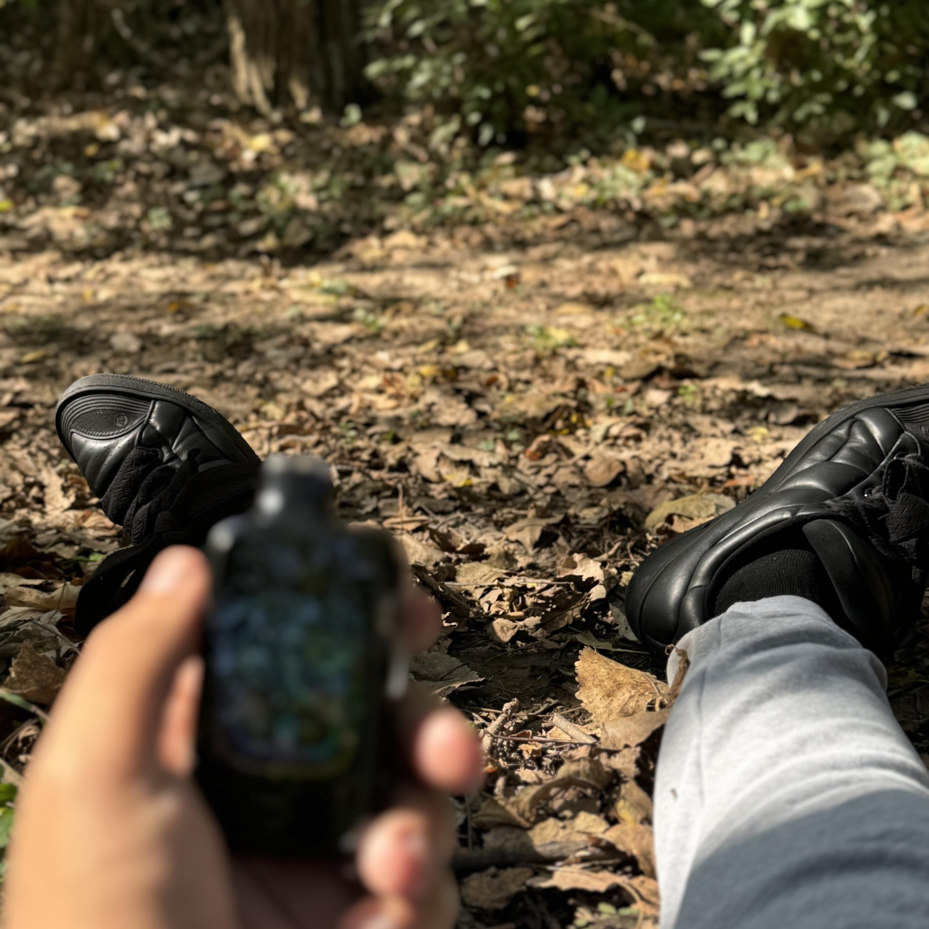 i love fall… artwork