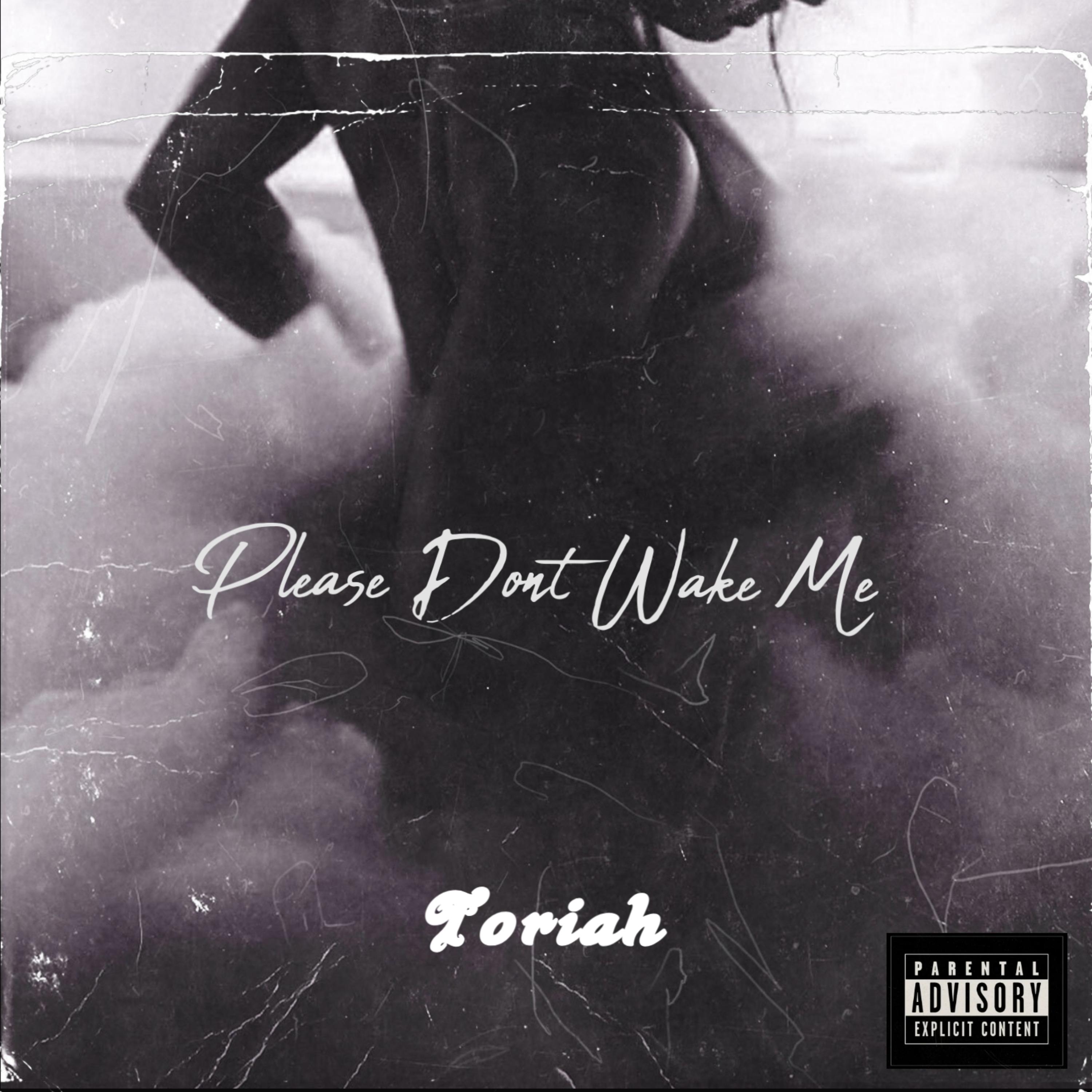 Please Don’t Wake Me artwork