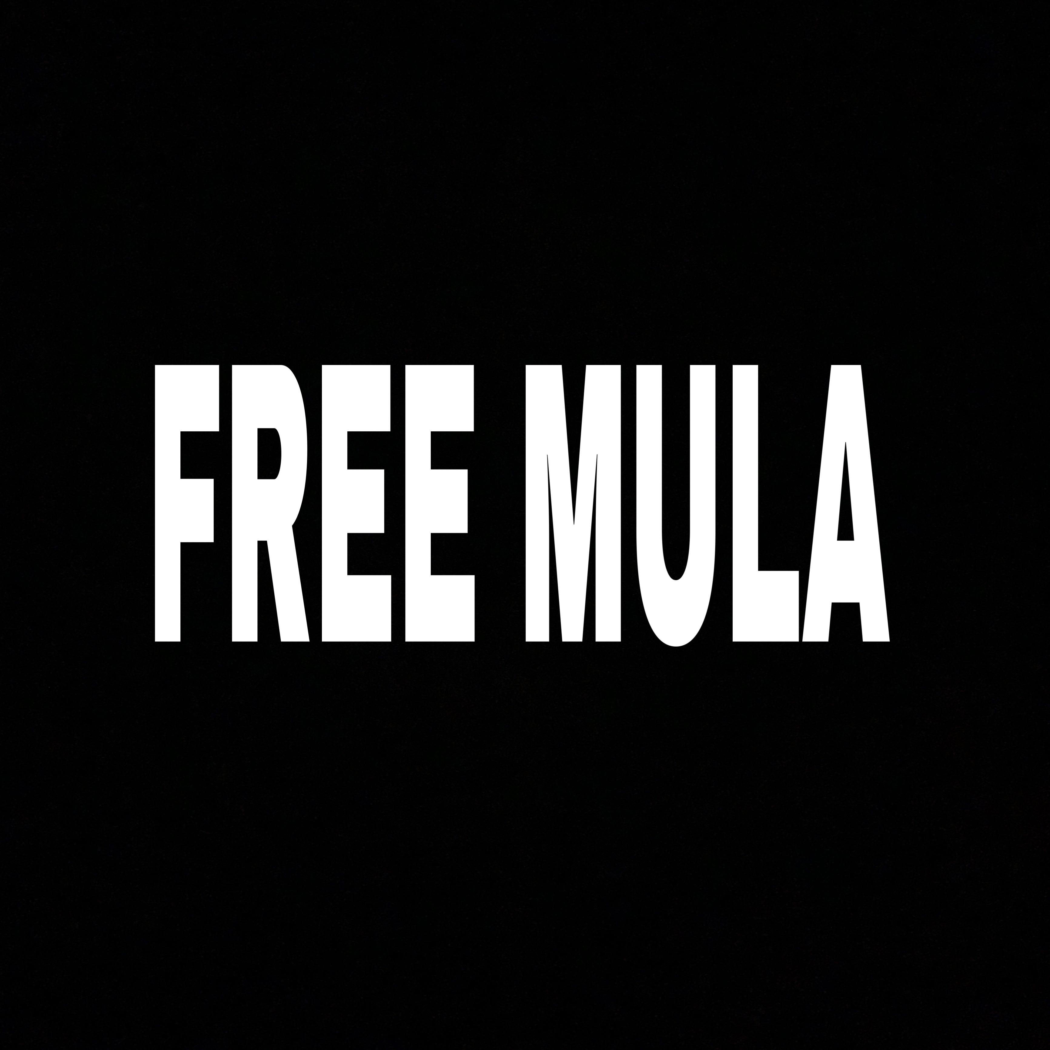 Free Mula artwork