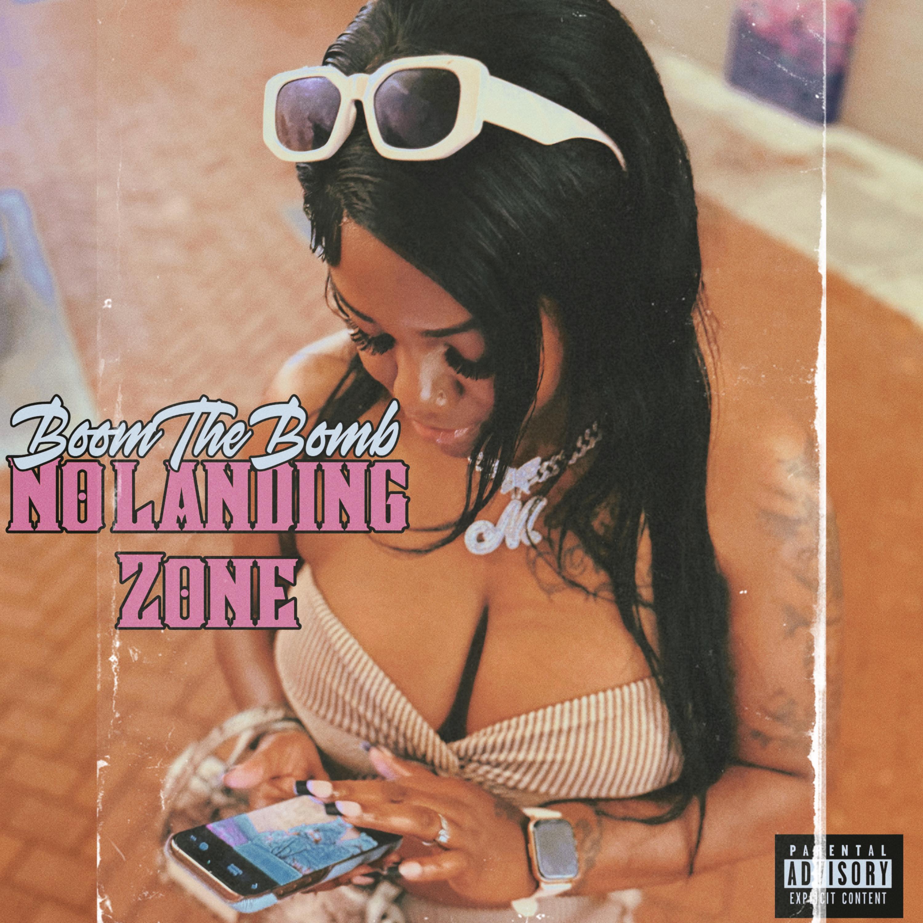 No Landing Zone artwork