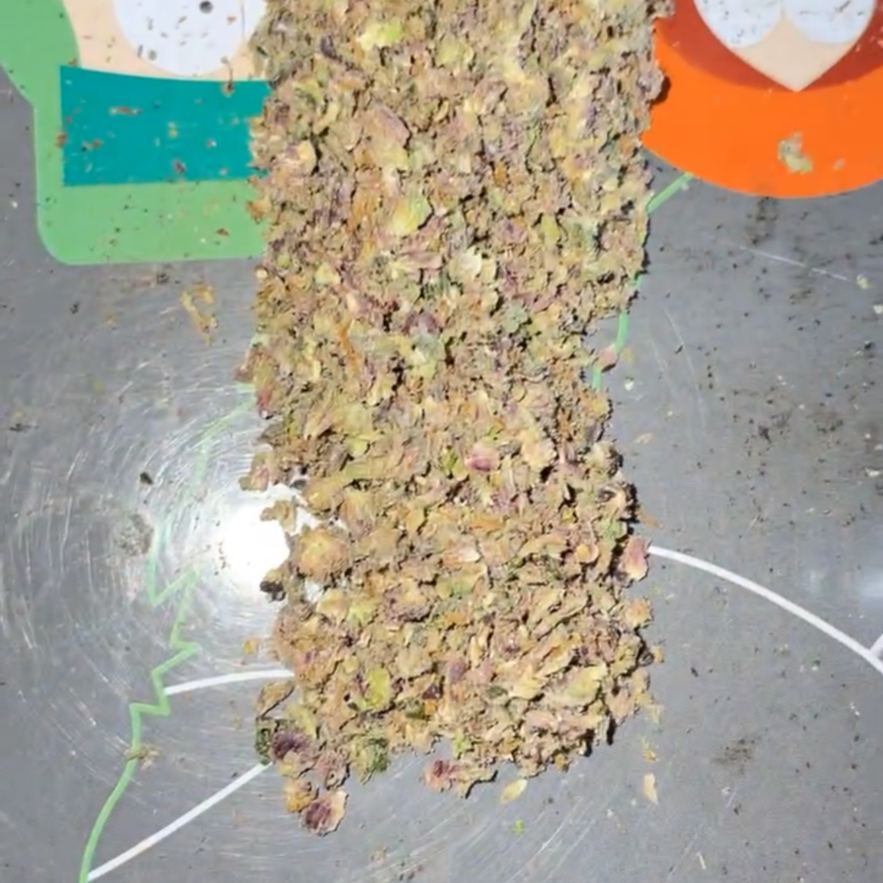 Who Rollin? artwork