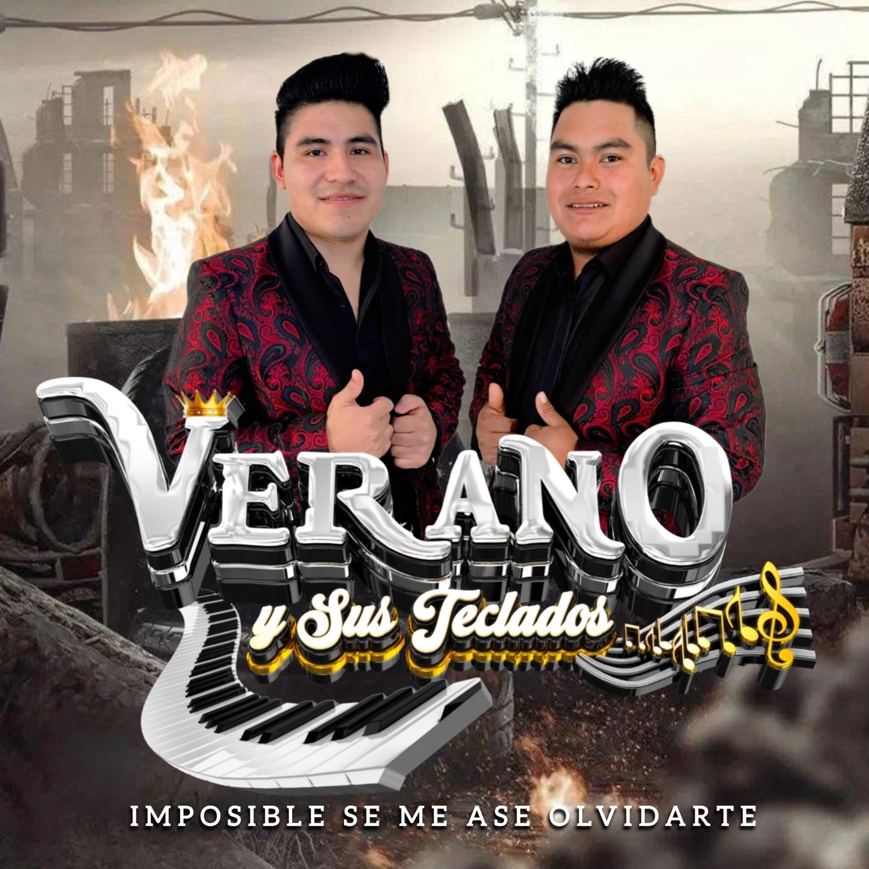 Imposible Se Me Ase Olvidarte artwork