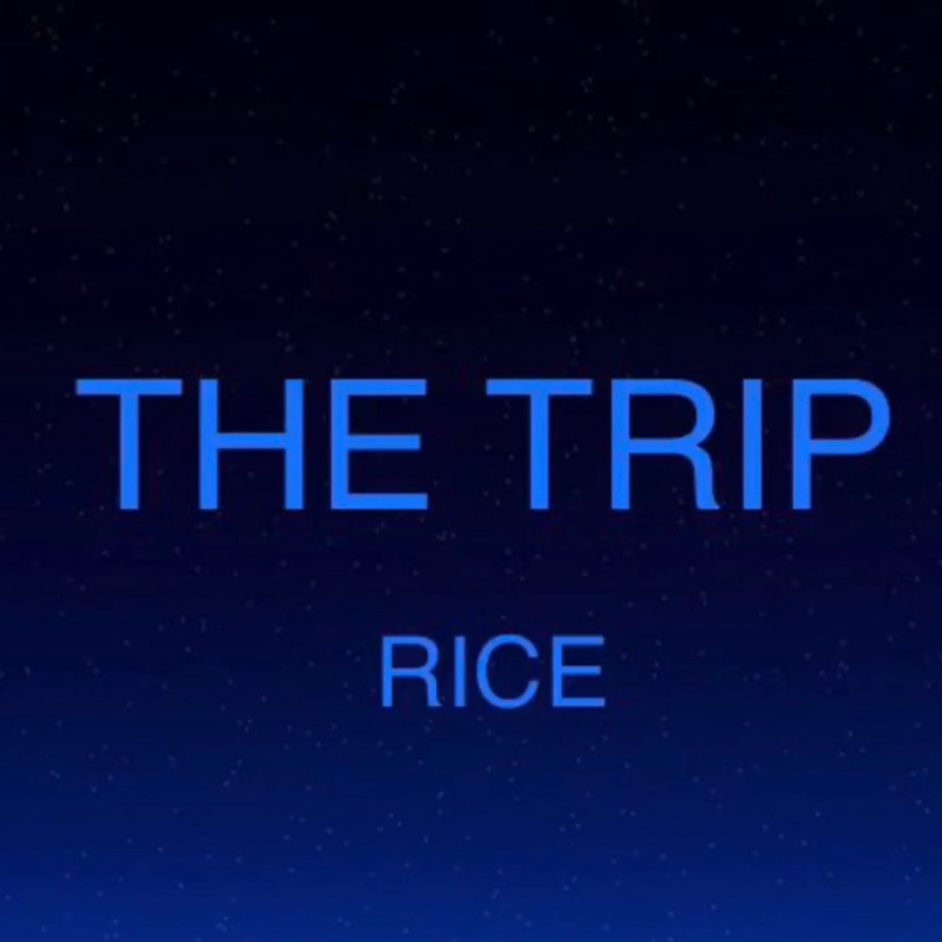 The Trip artwork