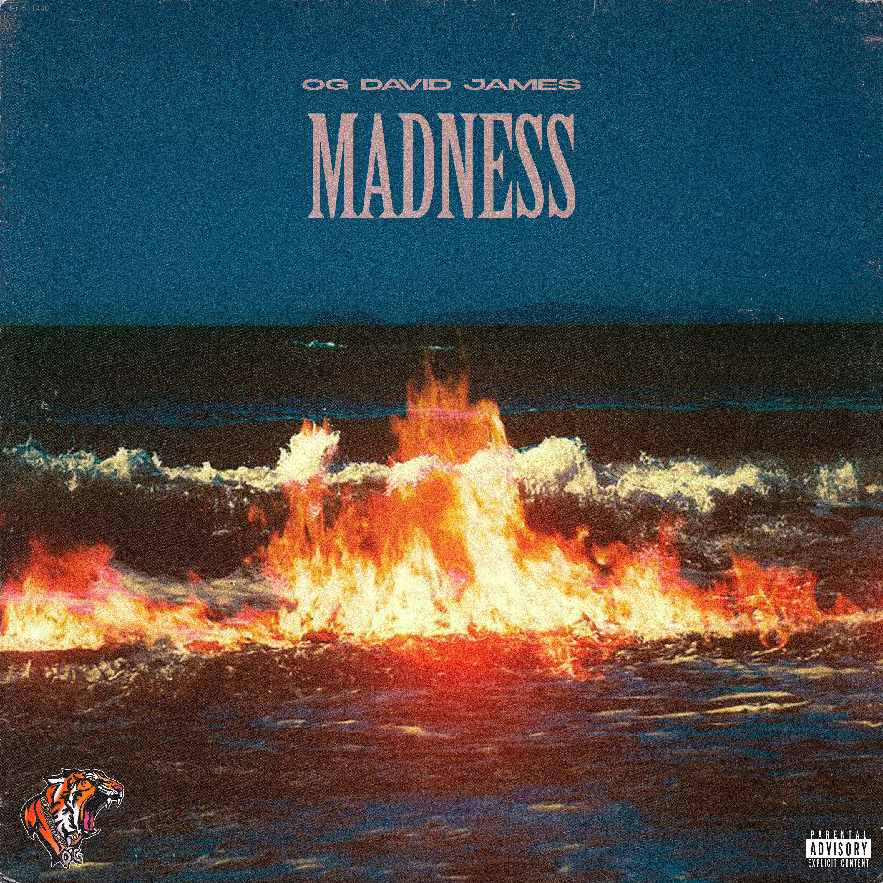 MADNESS artwork