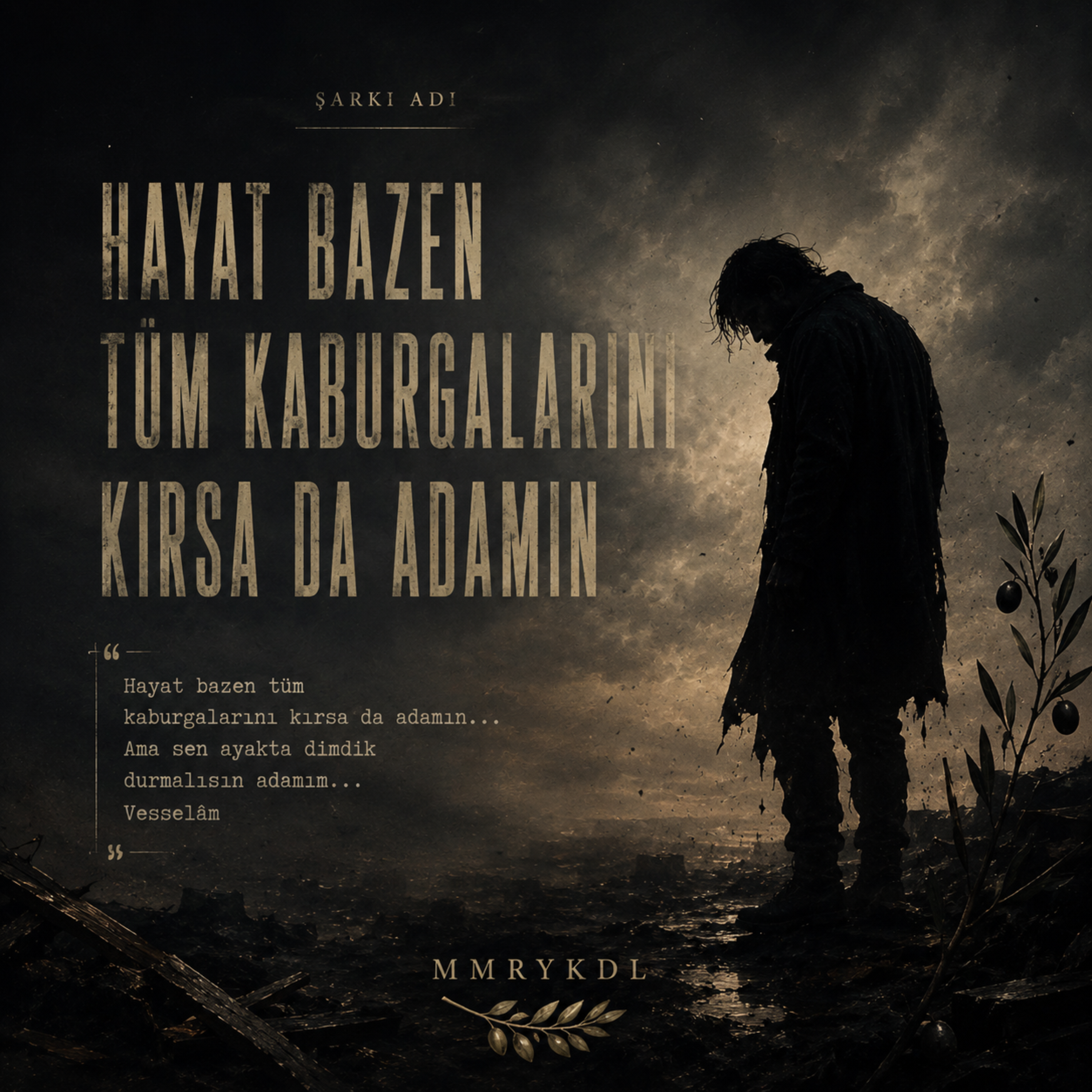HAYAT BAZEN TÜM KABURGALARINI KIRSADA ADAMIN by MMRYKDL cover art