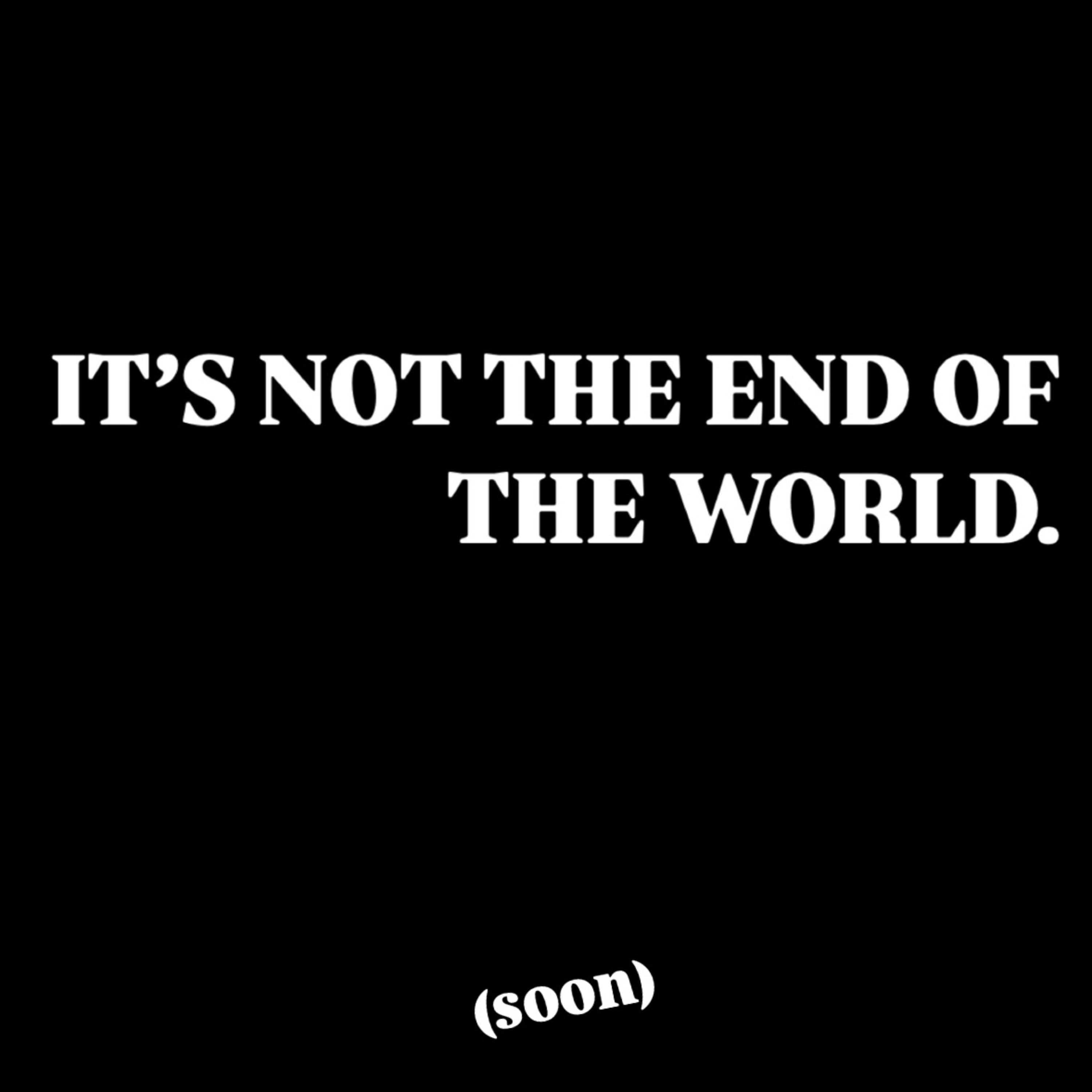IT’S NOT THE END OF THE WORLD. artwork