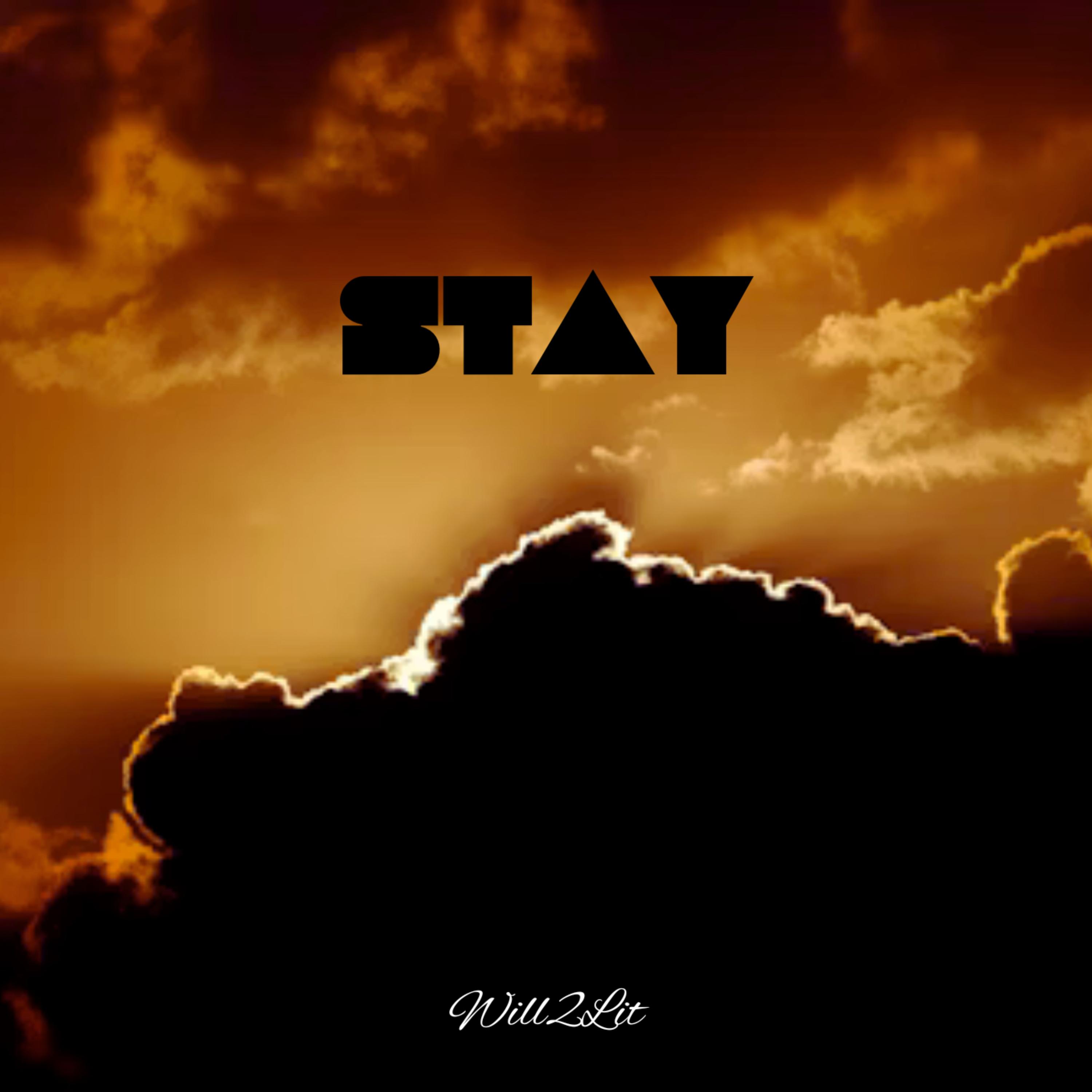 Stay artwork