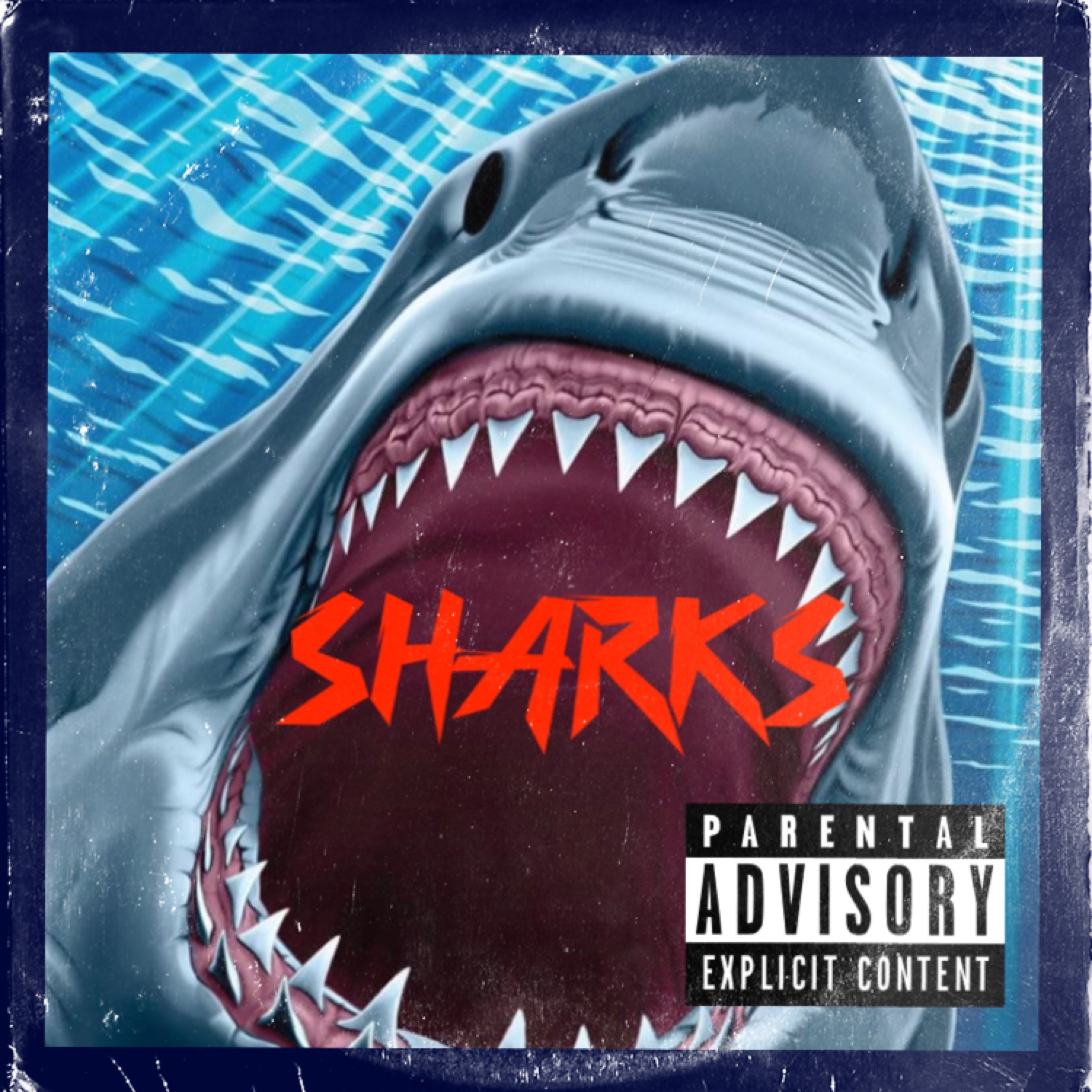 Sharks artwork