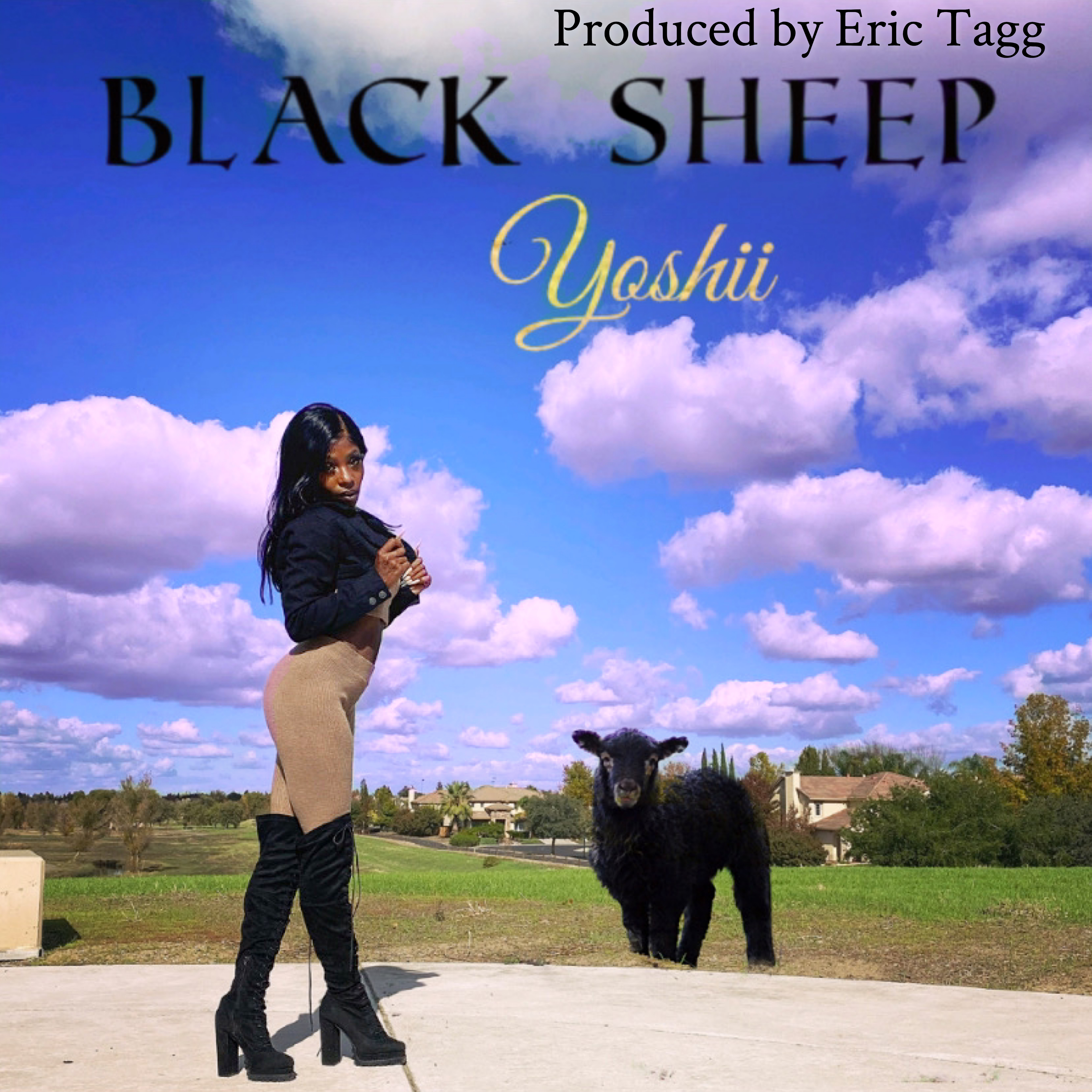 Black Sheep by Blacksheep Yoshi cover art