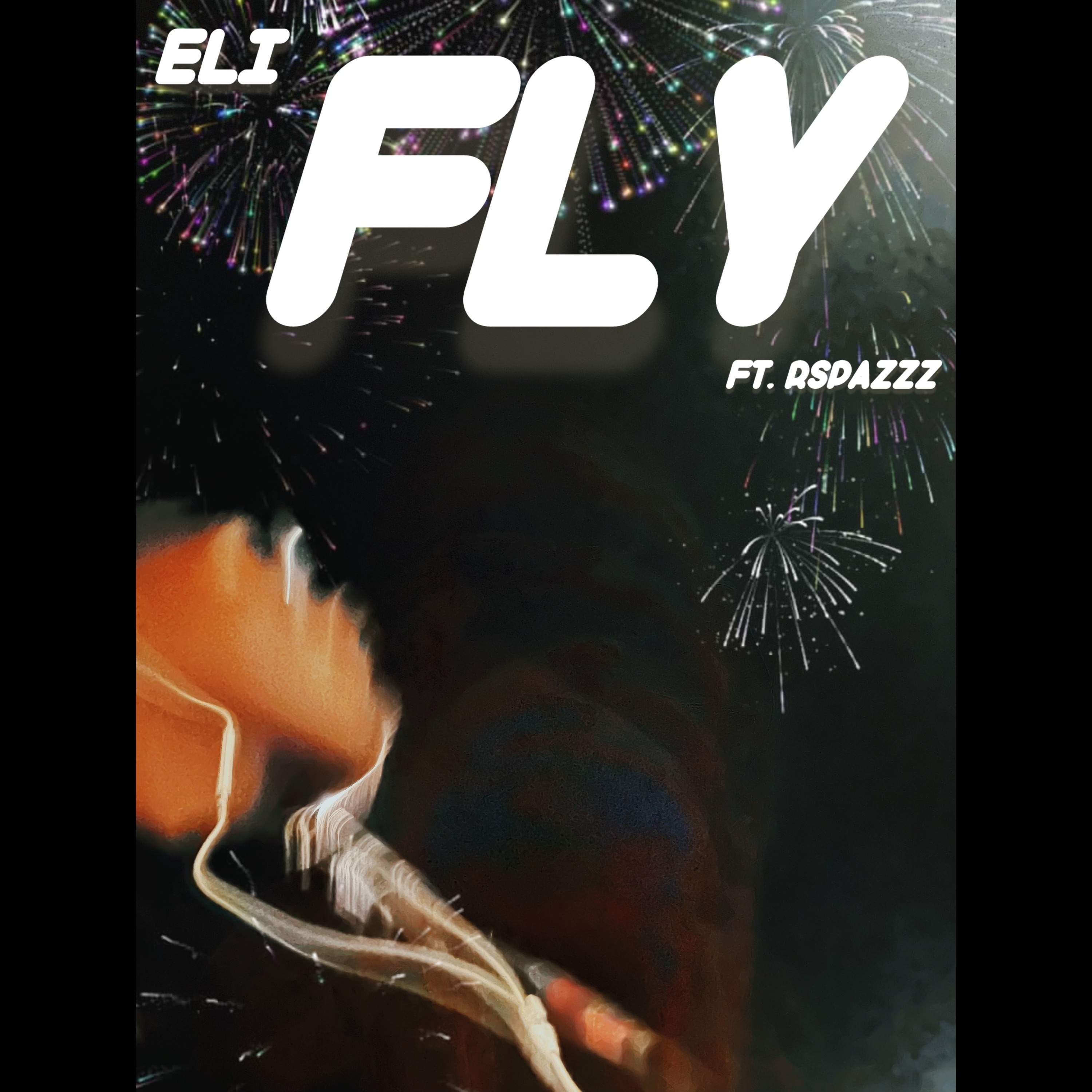 Fly artwork