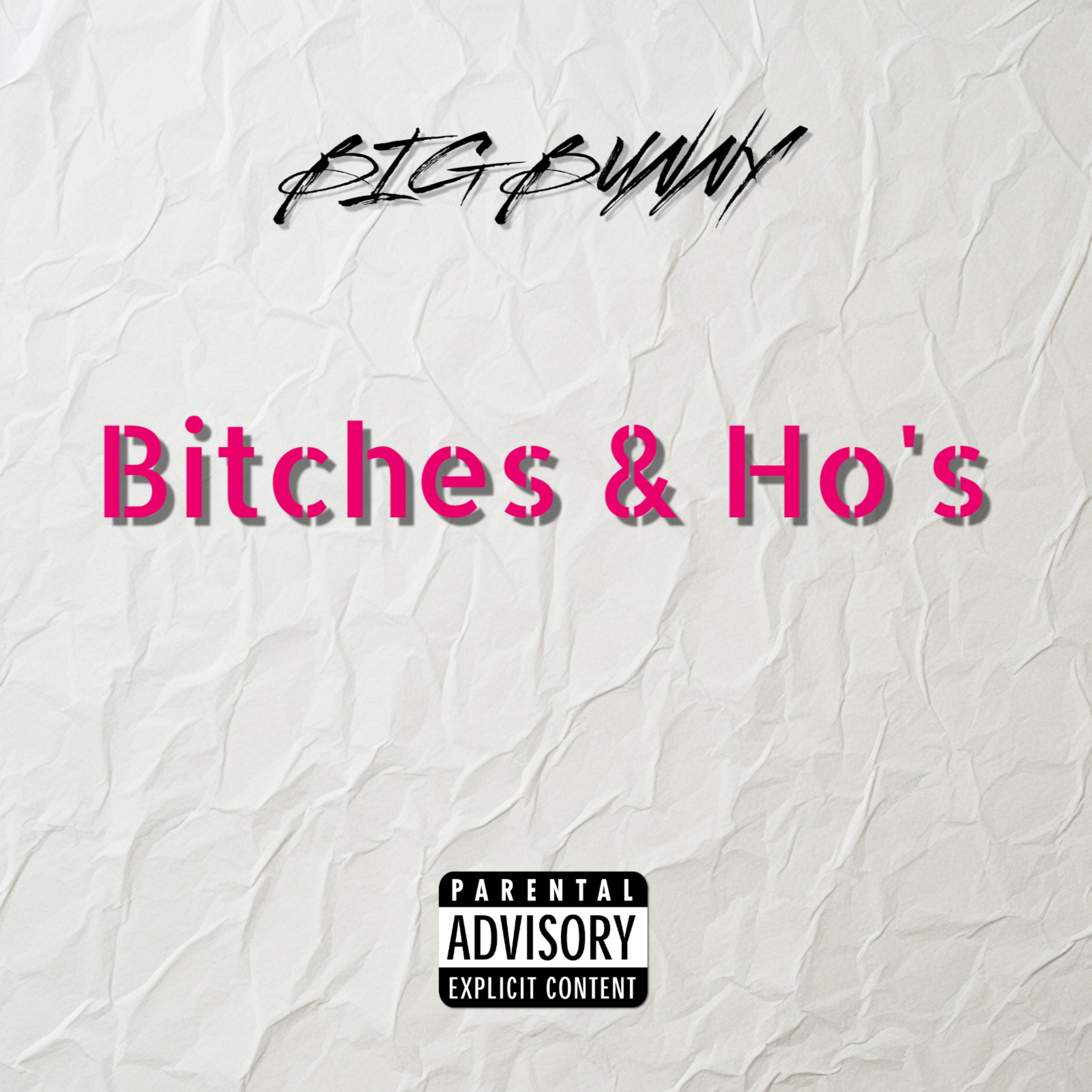 Bitches & Ho's artwork