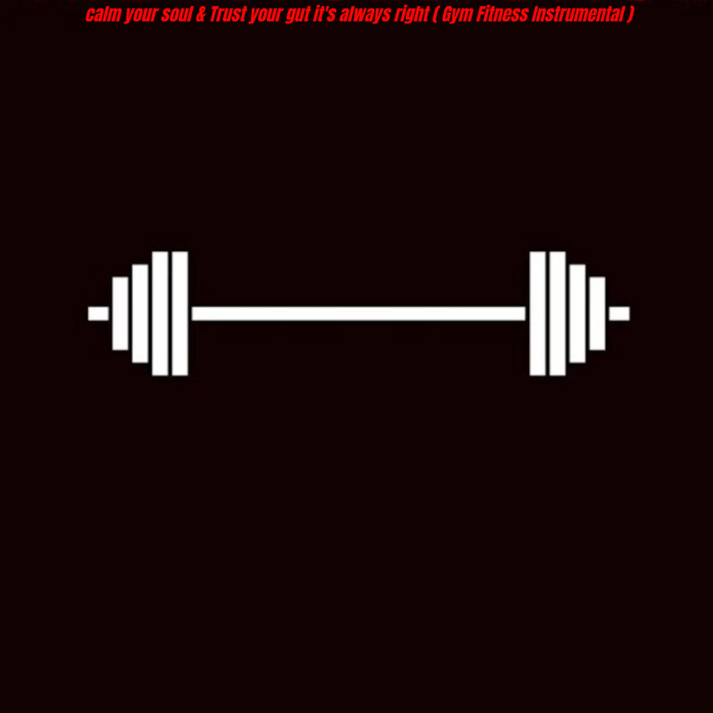 calm your soul & Trust your gut it's always right ( Gym Fitness Instrumental ) by Lofi Chill Hip Hop Beat cover art