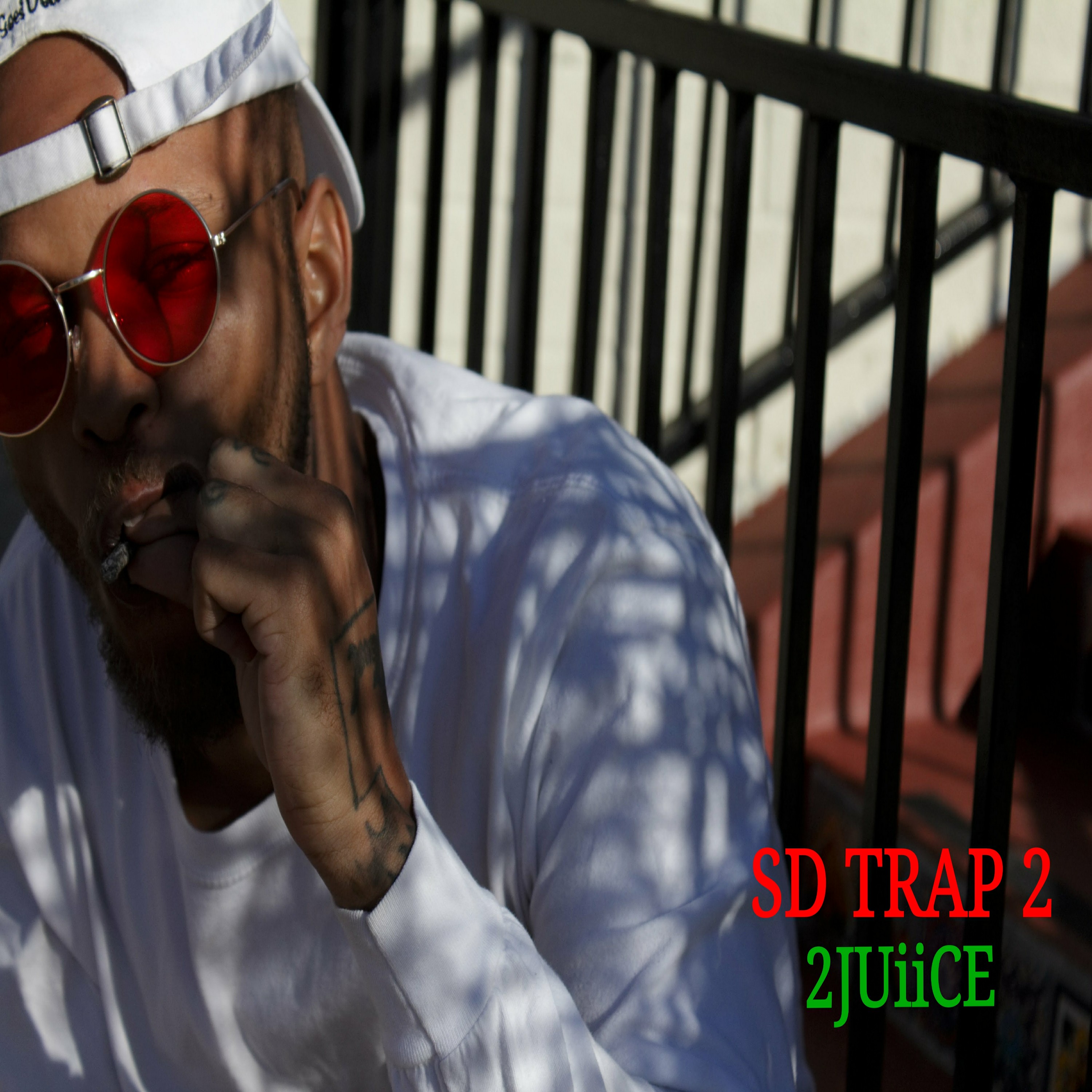 SD TRAP 2 artwork