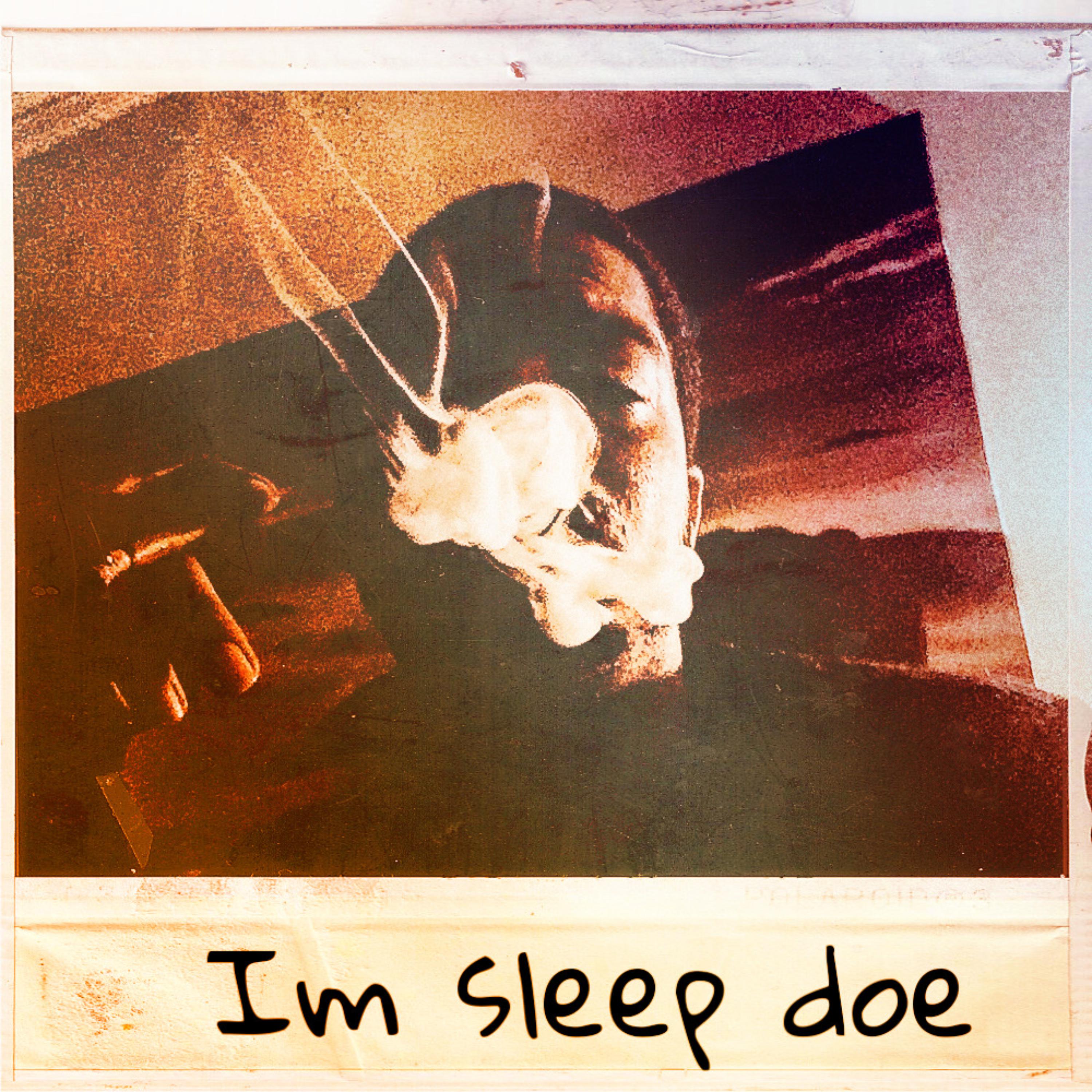 Im Sleep Doe artwork