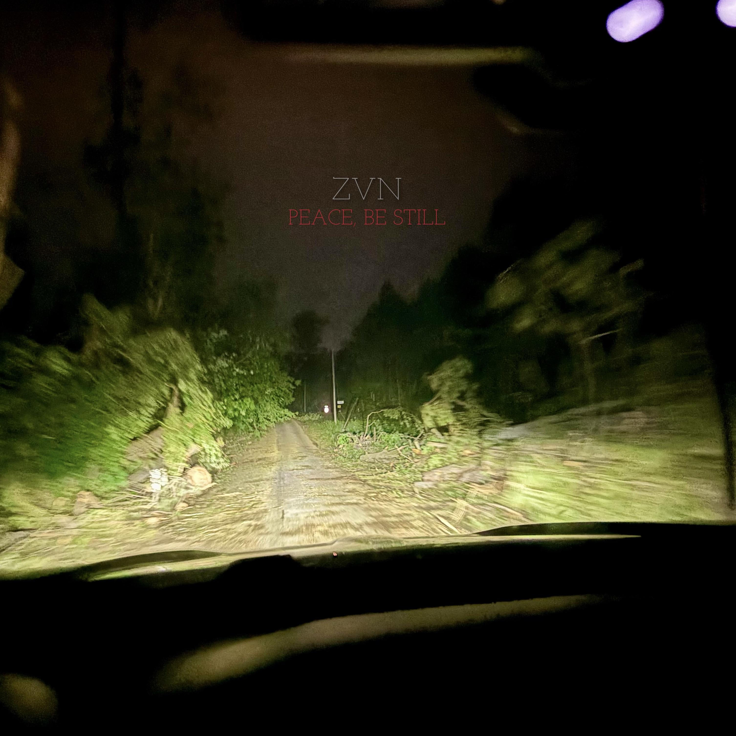 PEACE, BE STILL by ZVN cover art