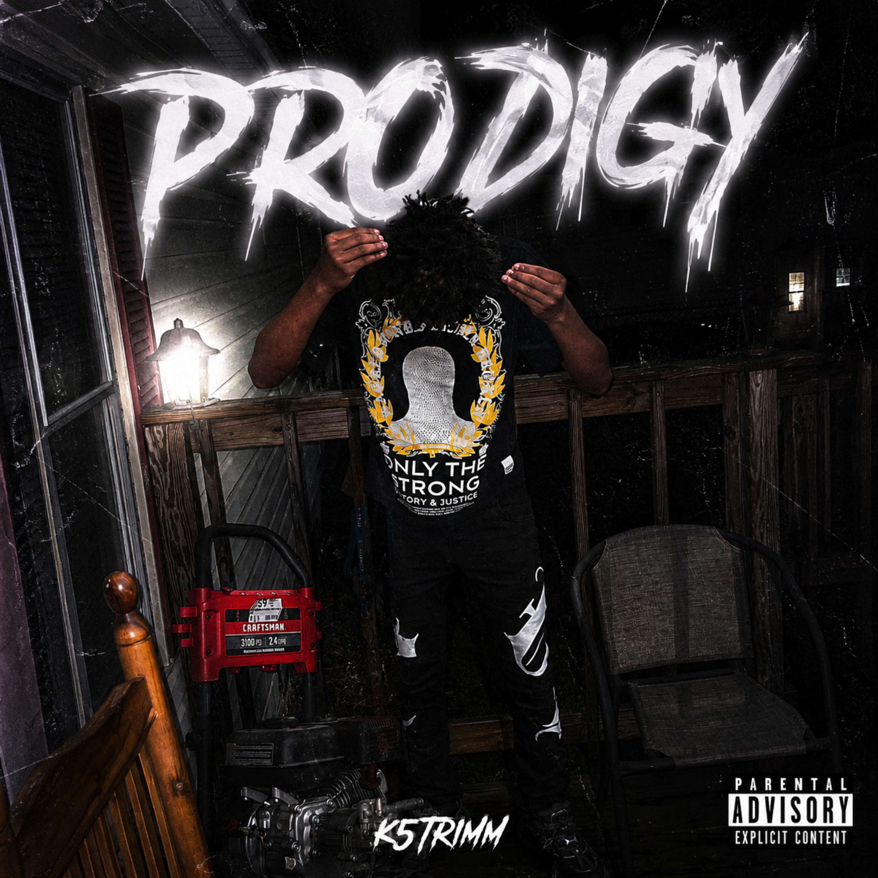 Prodigy by k5trimm cover art