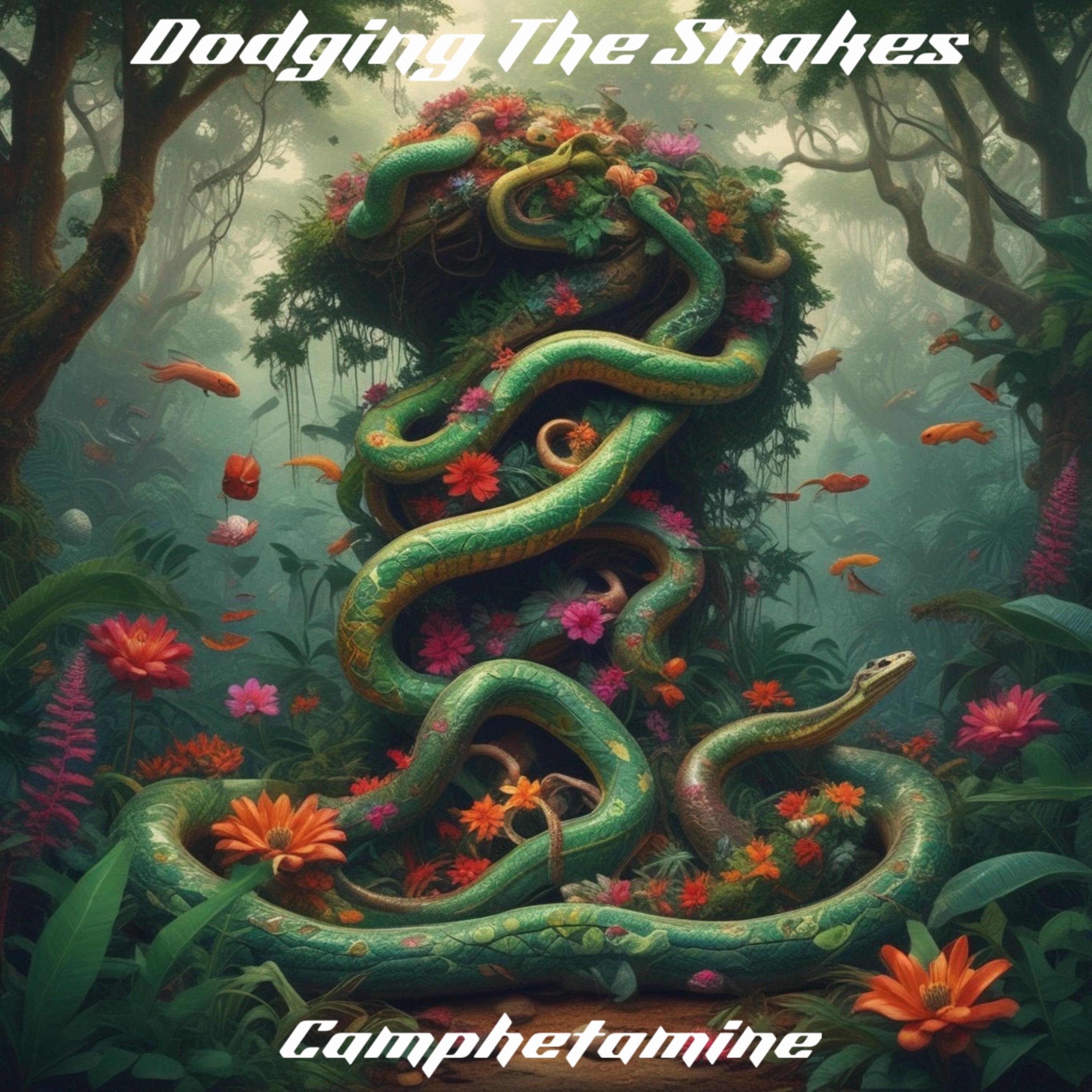 Dodging The Snakes artwork