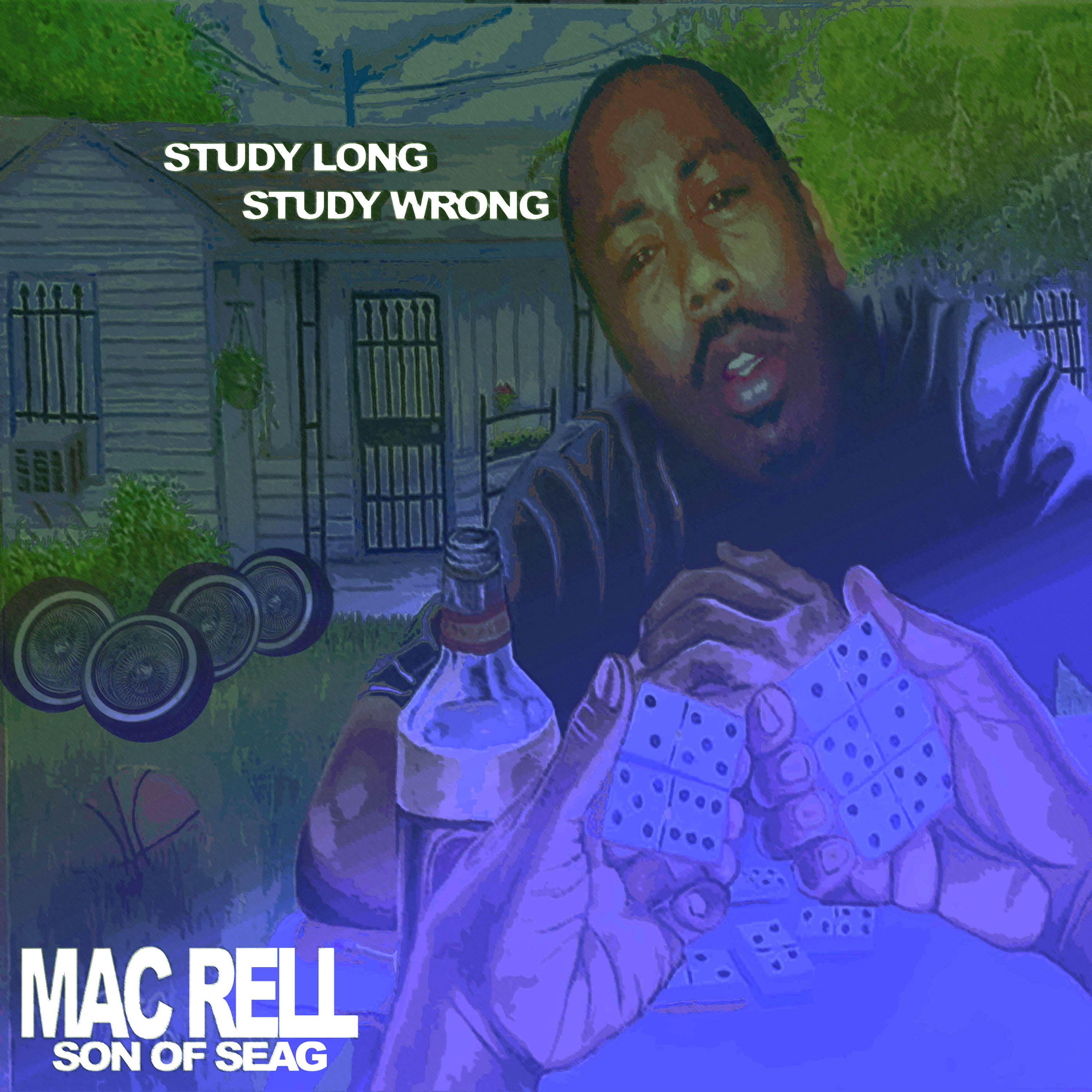 STUDY LONG  -  STUDY WRONG artwork
