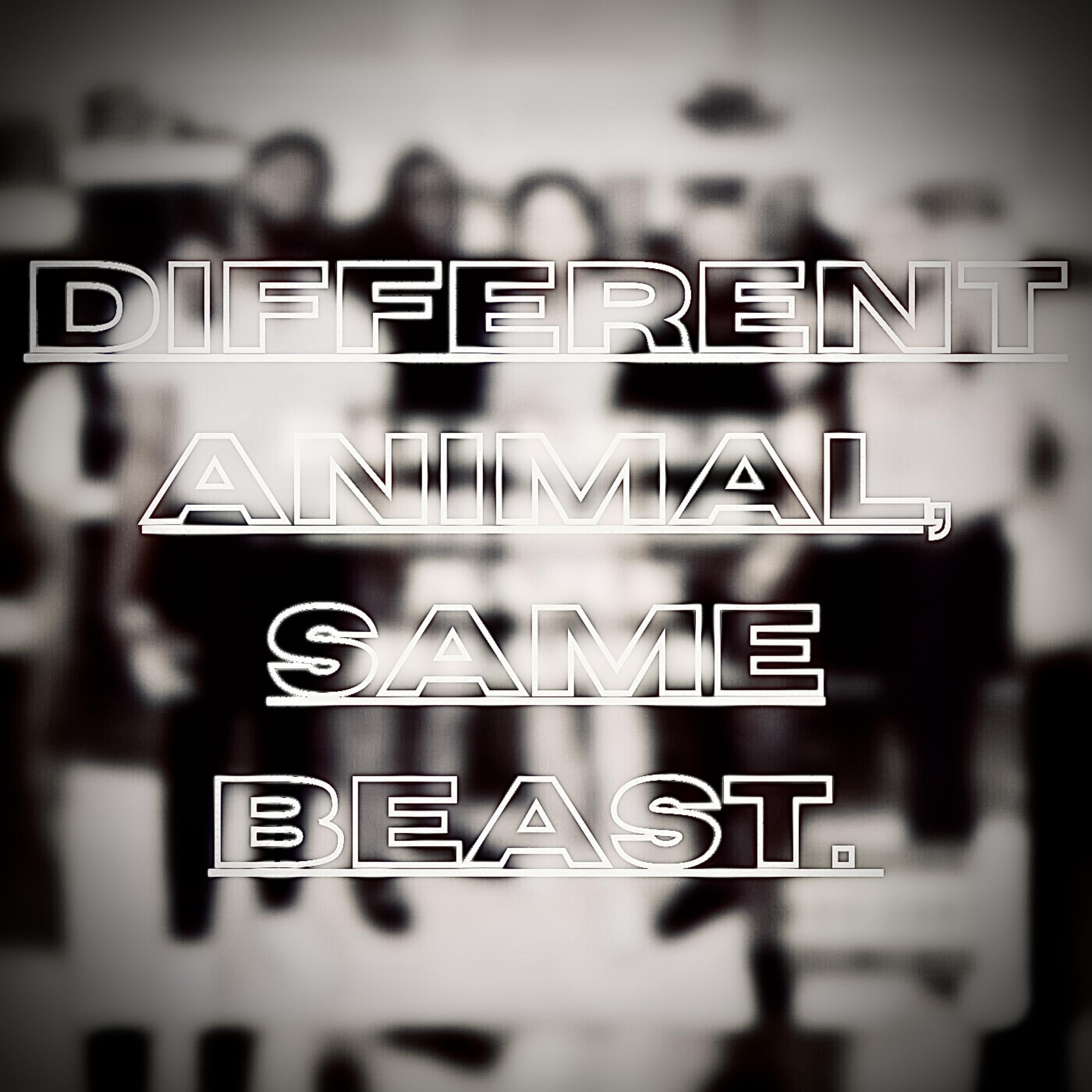 Different Animal, Same Beast. artwork