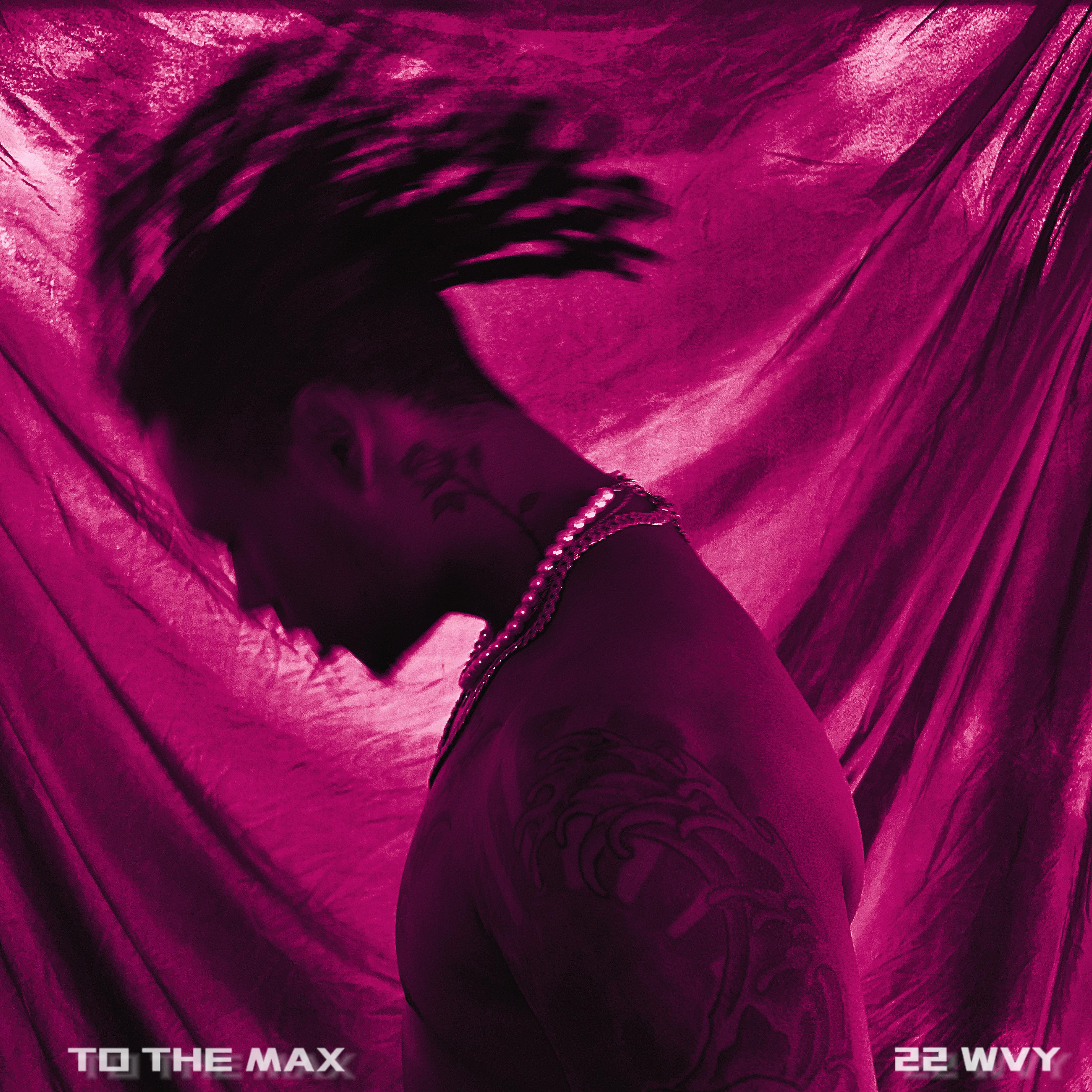 TO THE MAX artwork