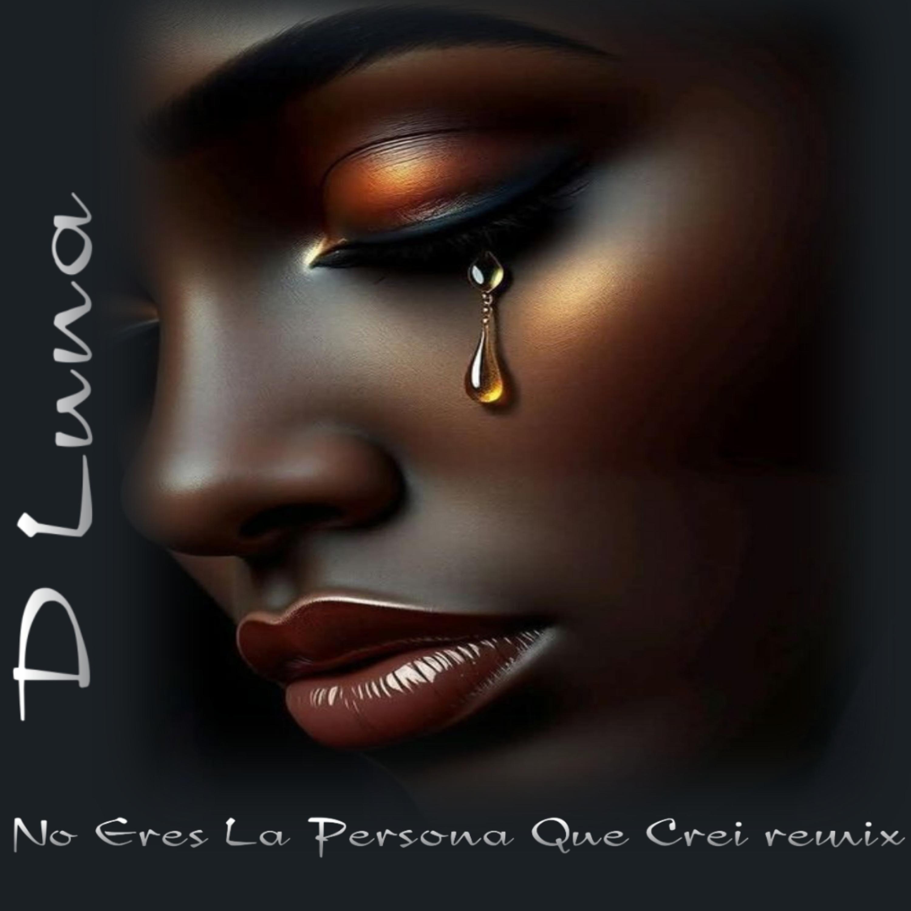 No Eres La Persona Que Crei (Remix) artwork
