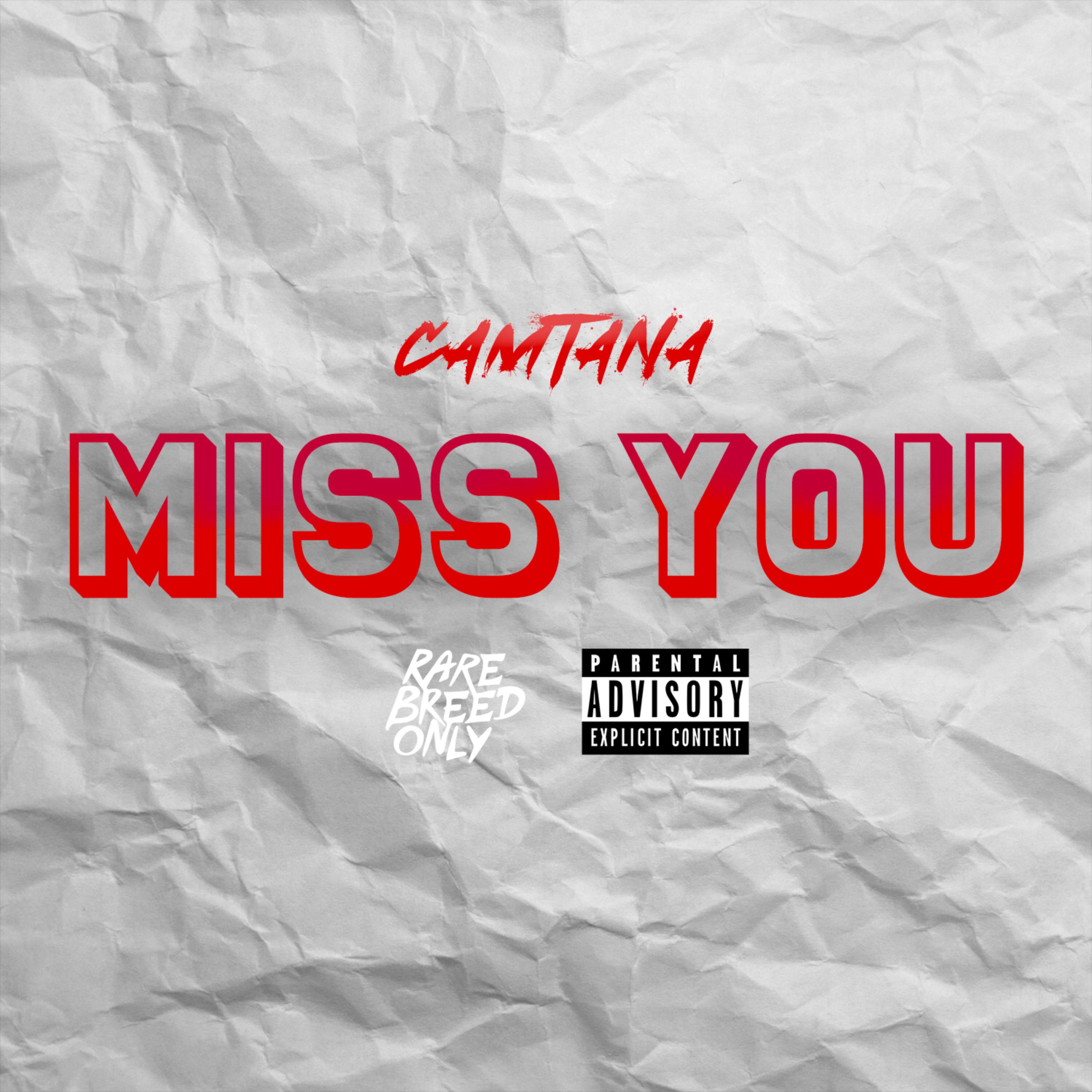 Miss You artwork