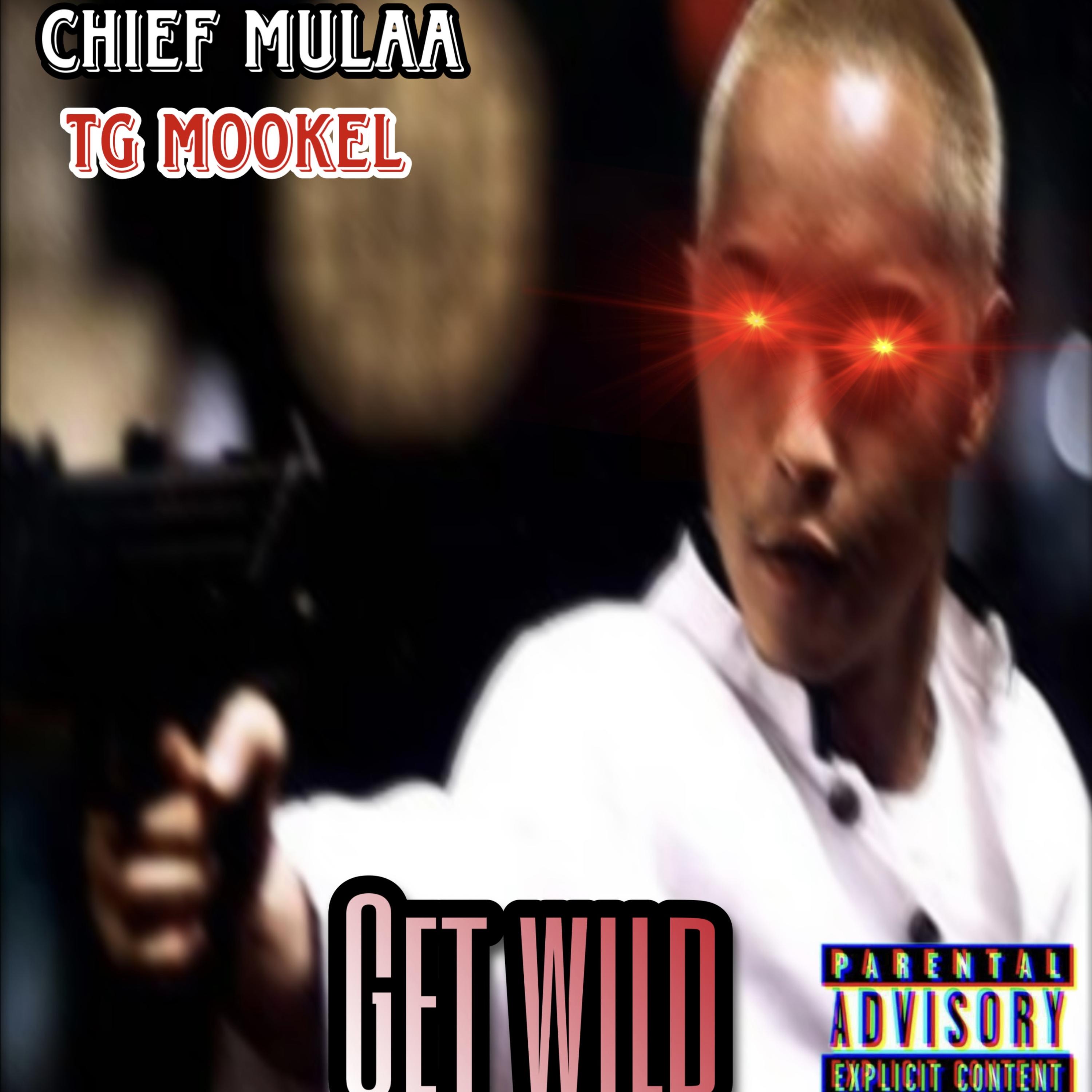 Get Wild artwork