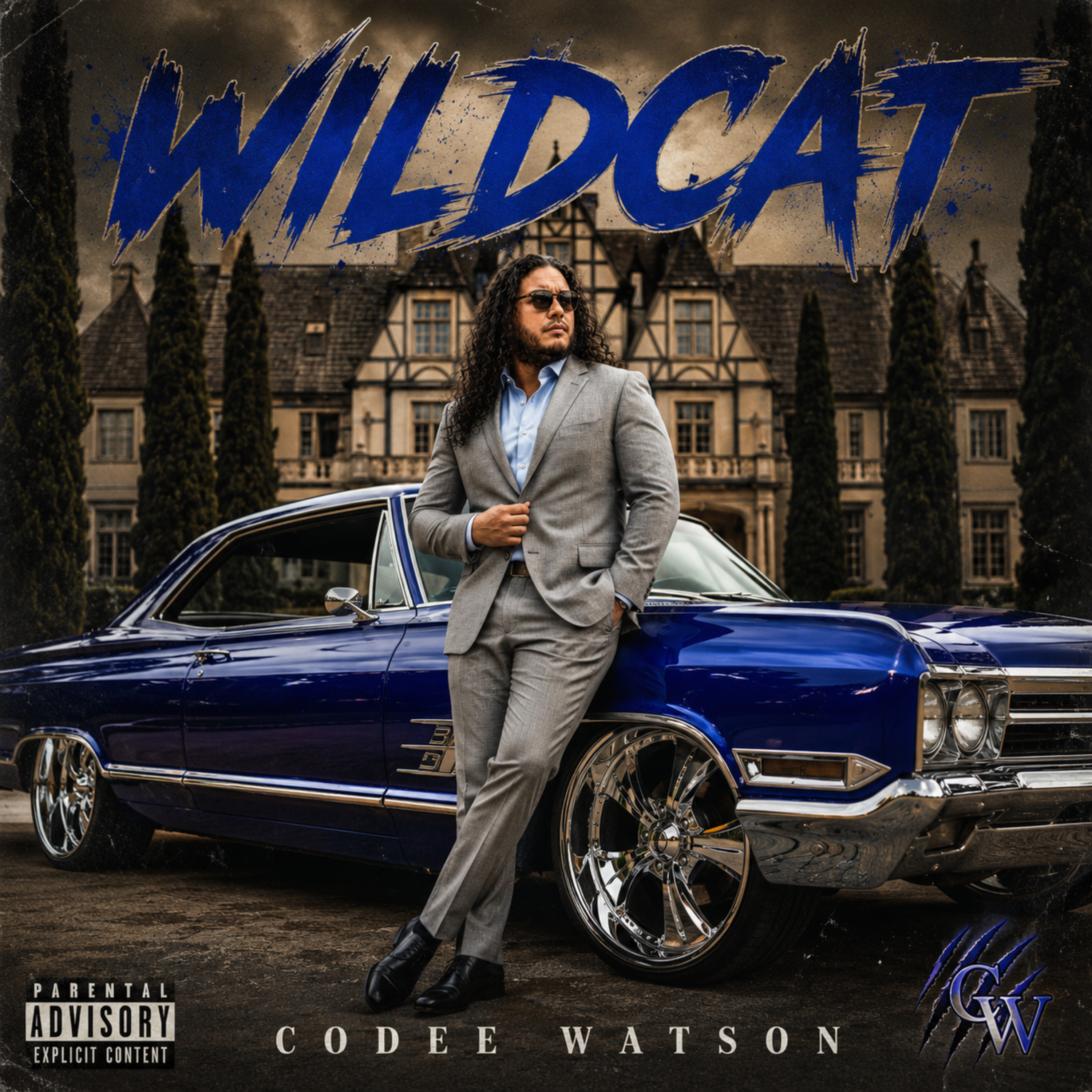 Wildcat by Codee Watson cover art