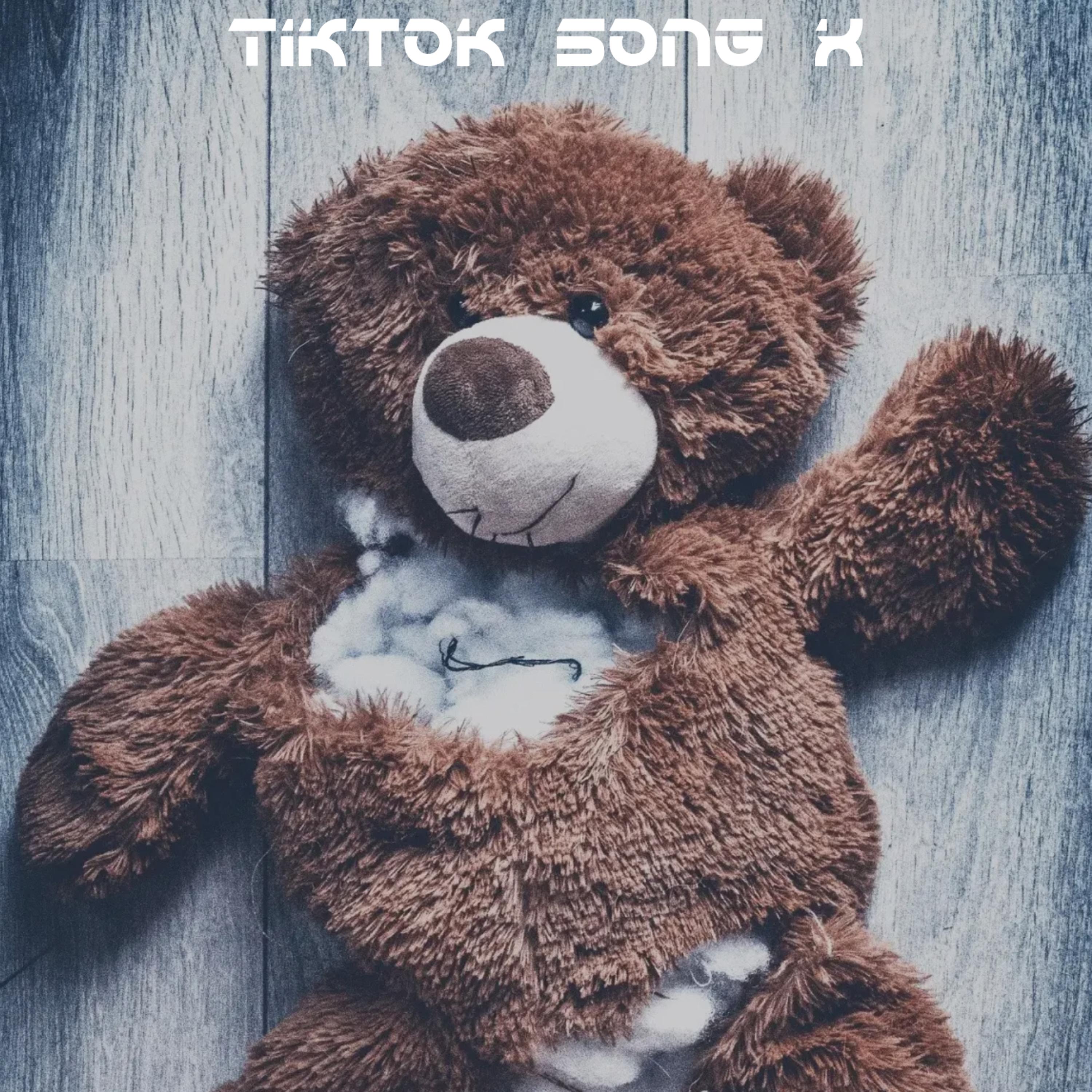 Tiktok Song x artwork