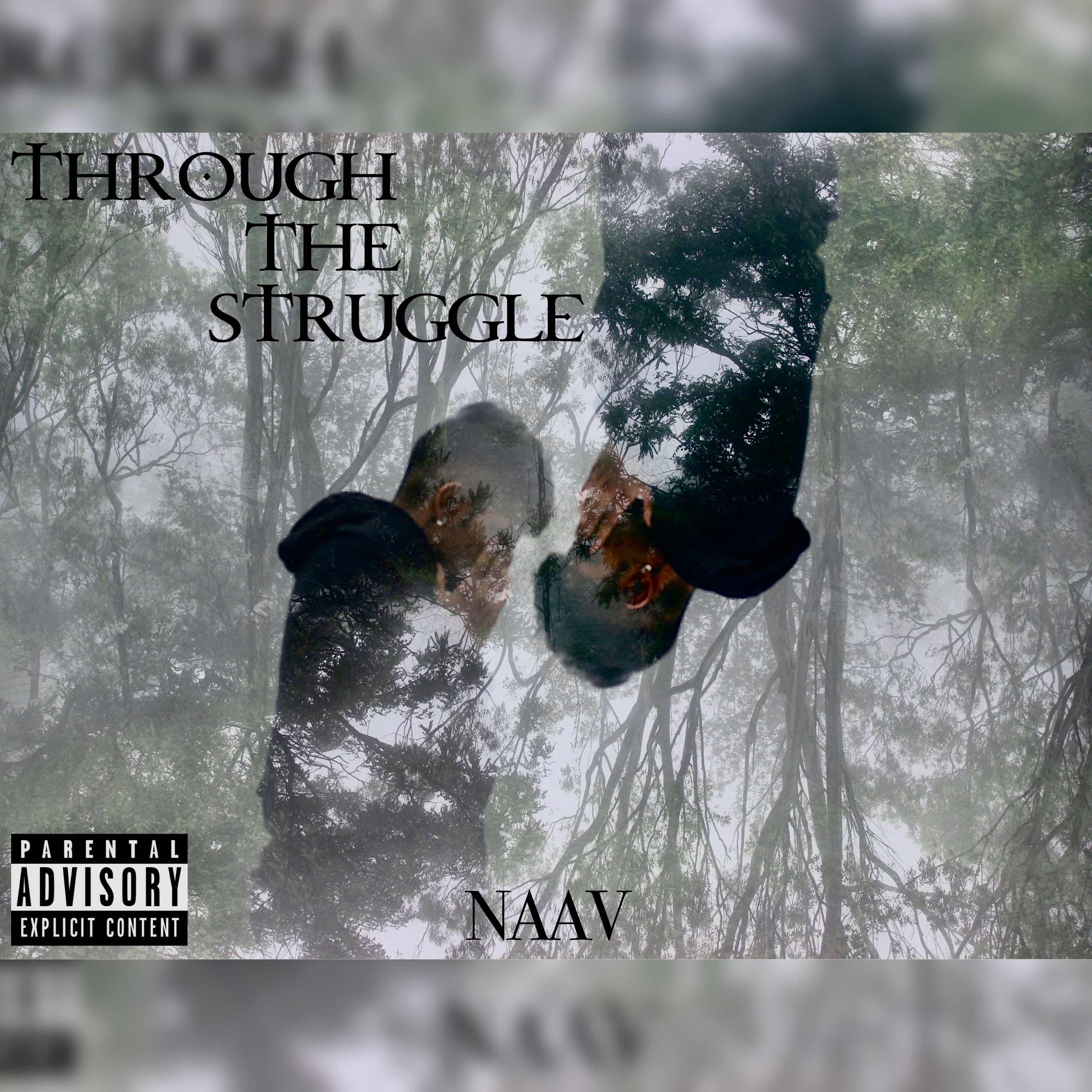 Through the Struggle artwork