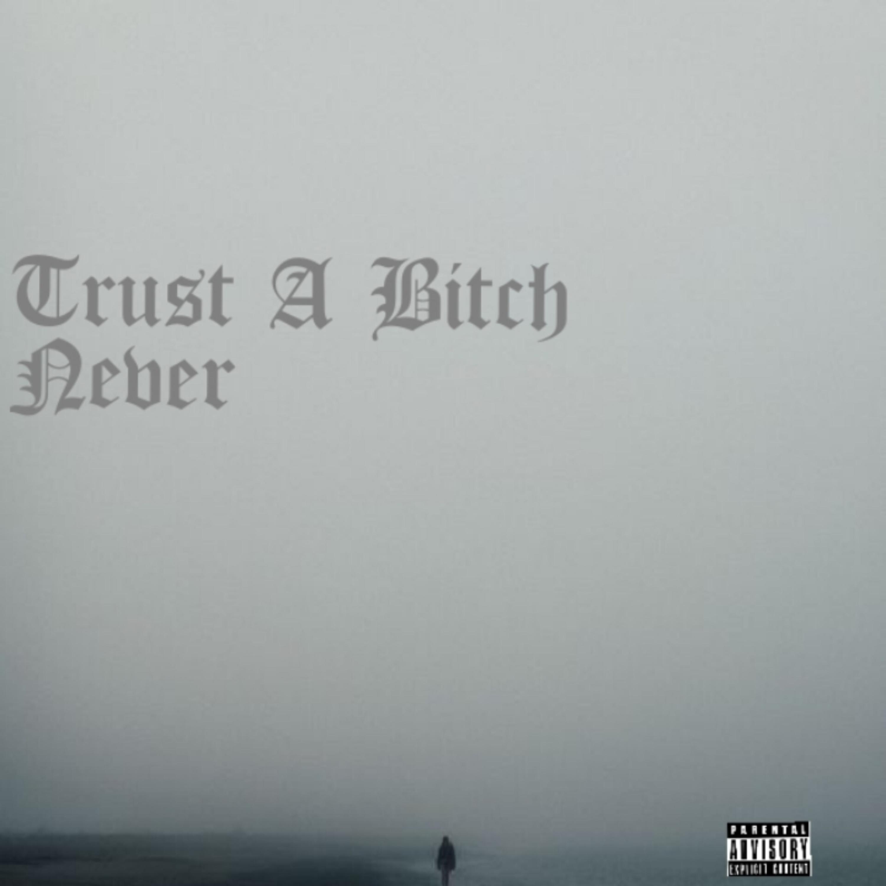 Trust a Bitch Never artwork