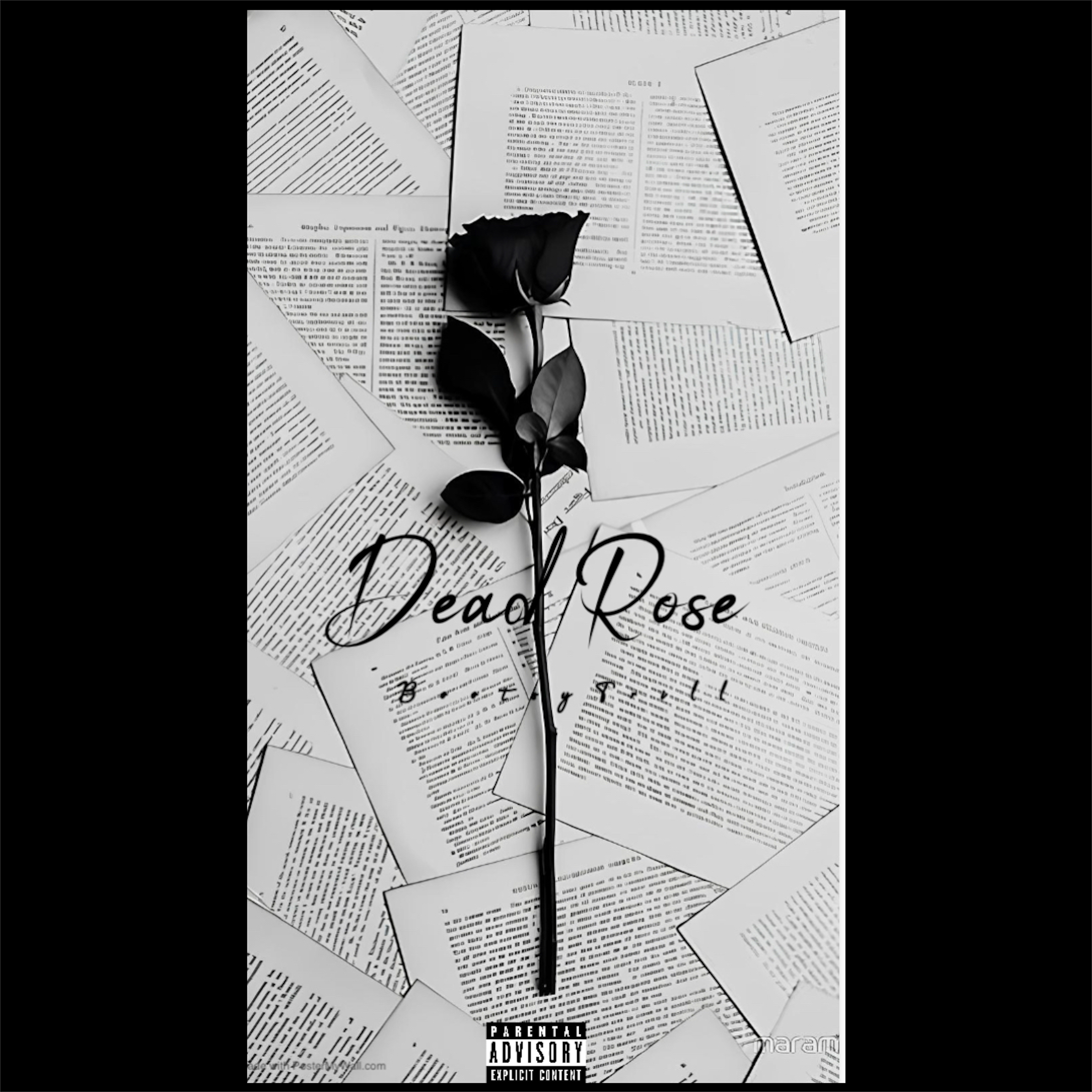 Dead Rose artwork