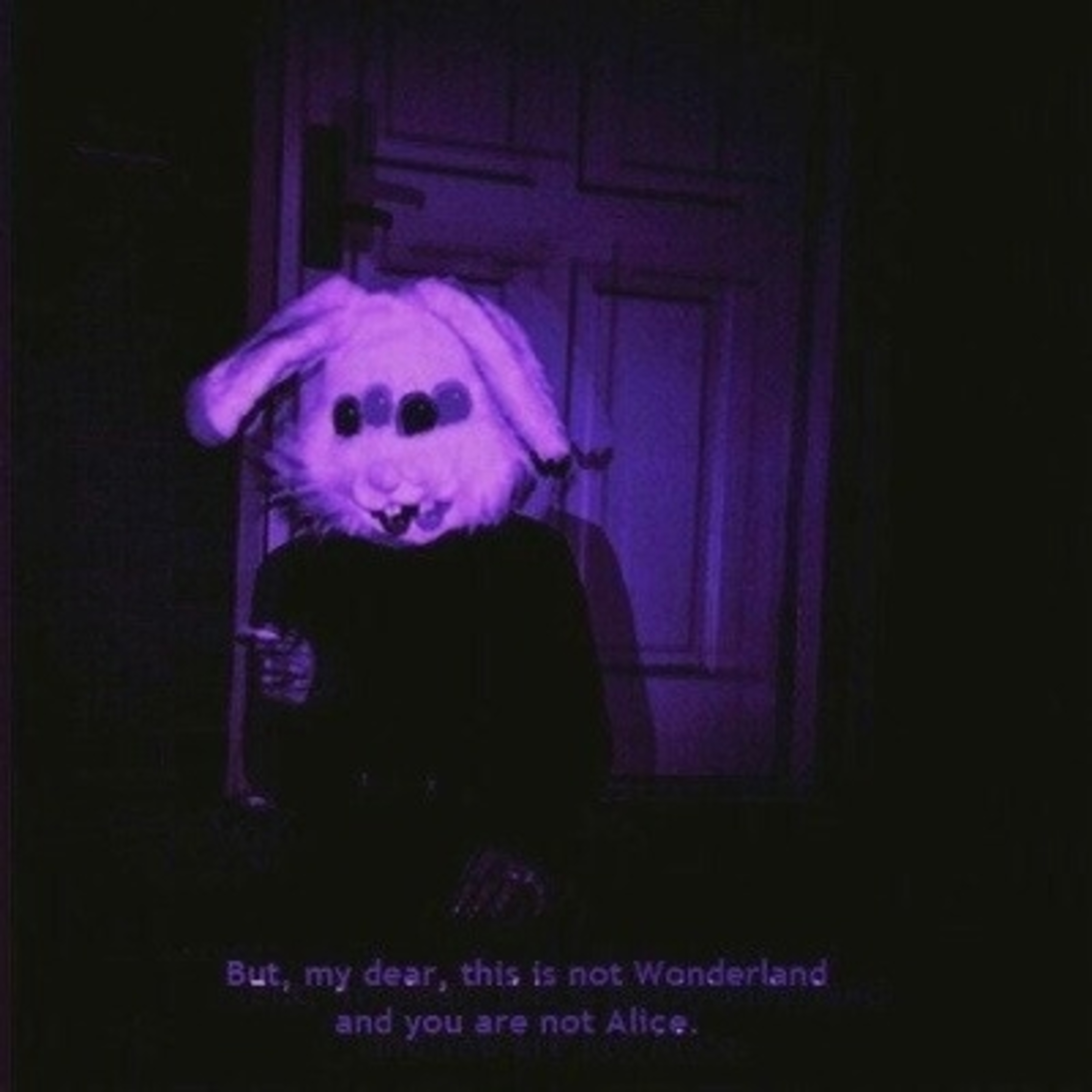 Wonderland? artwork