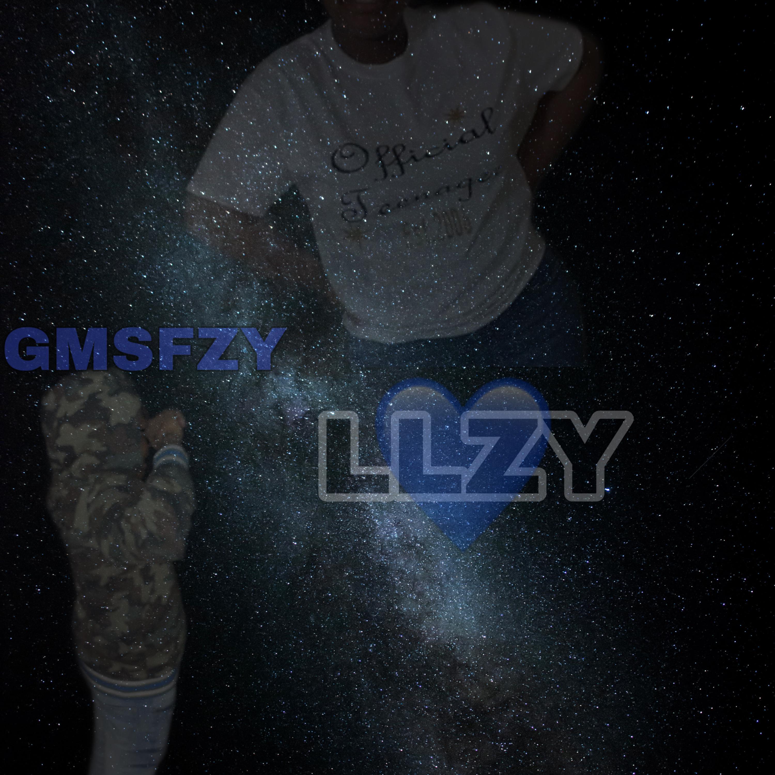 LLZY artwork
