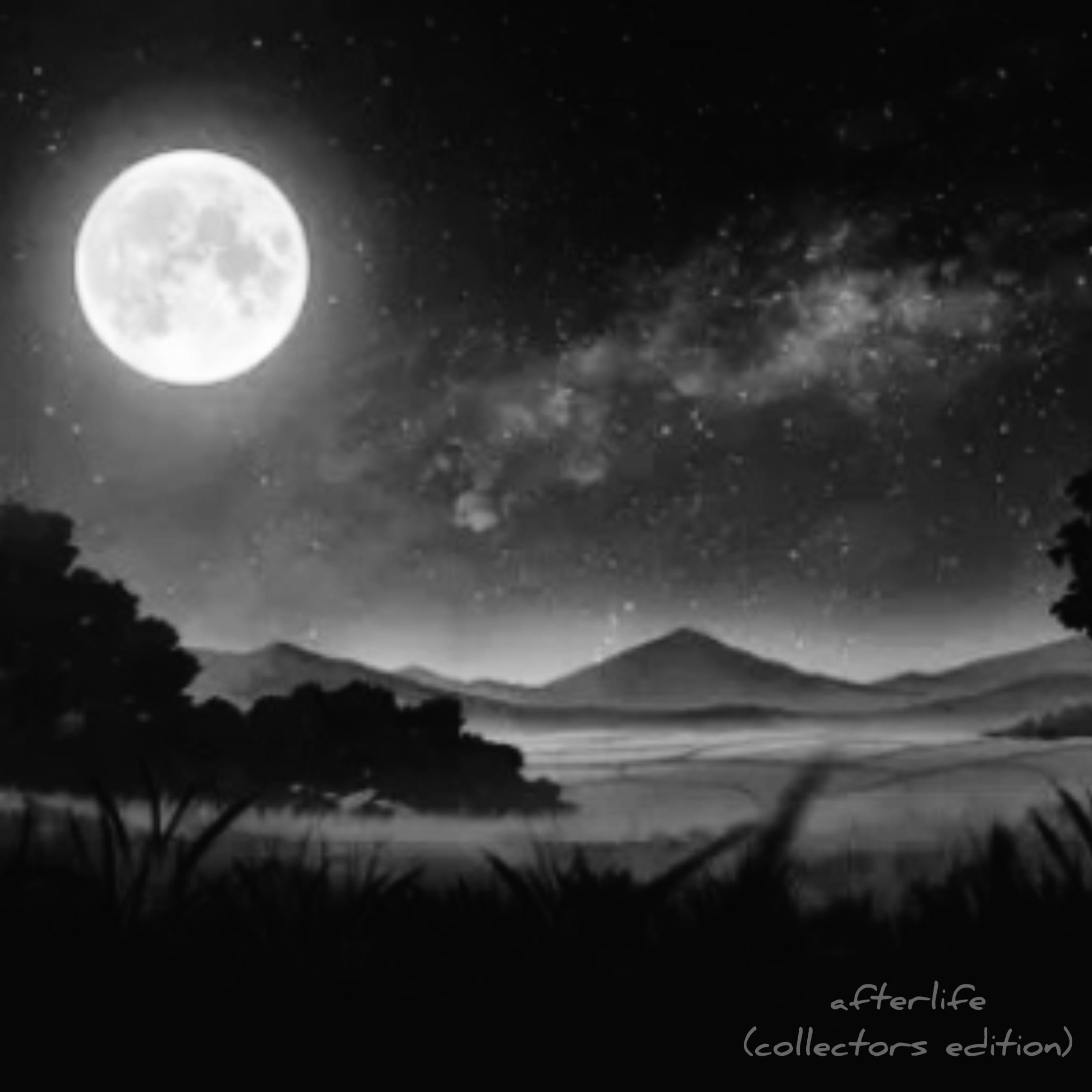afterlife (collectors edition) artwork